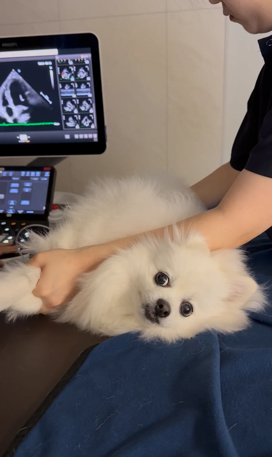 리뷰 사진 2