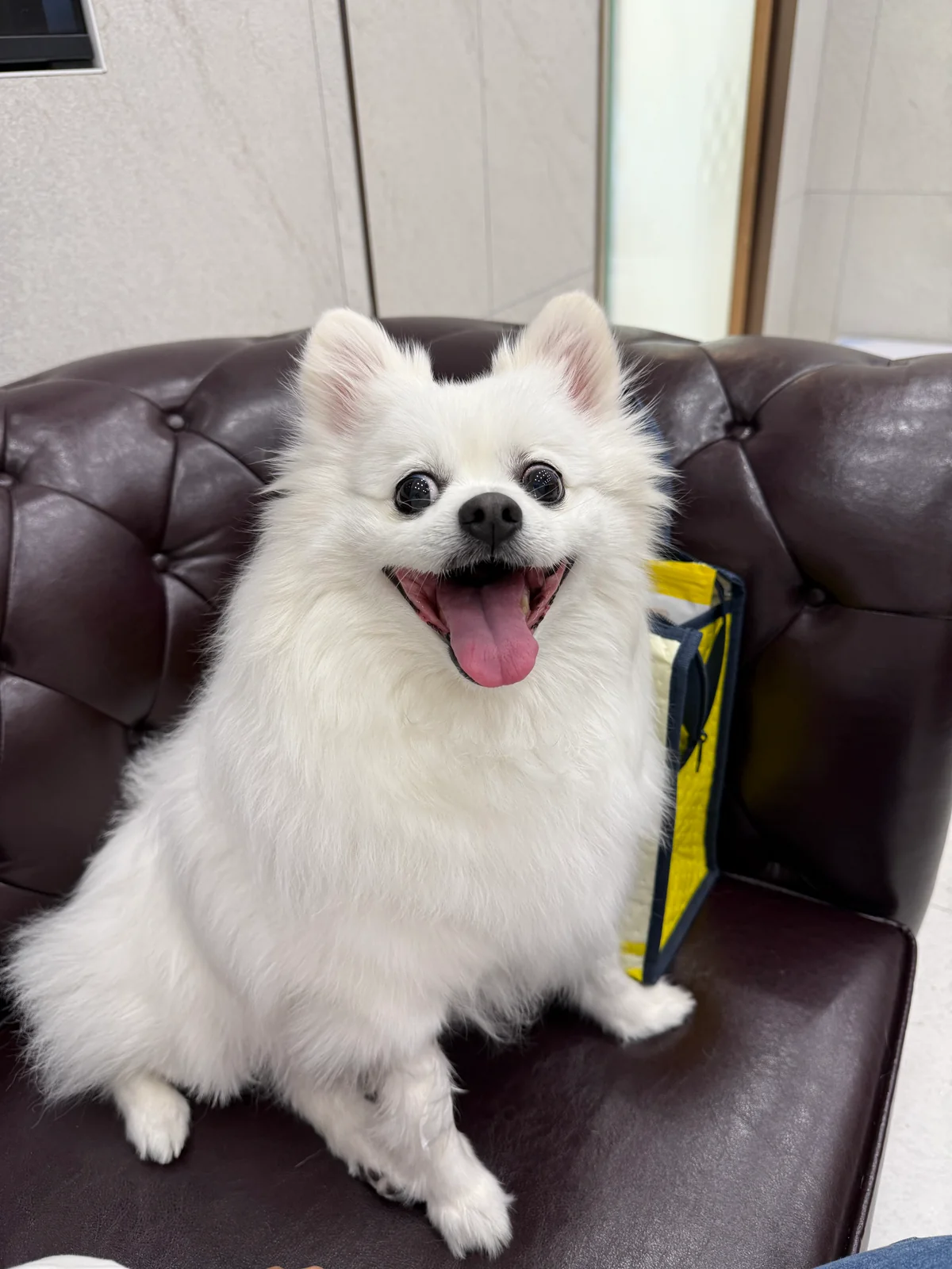 리뷰 사진 4