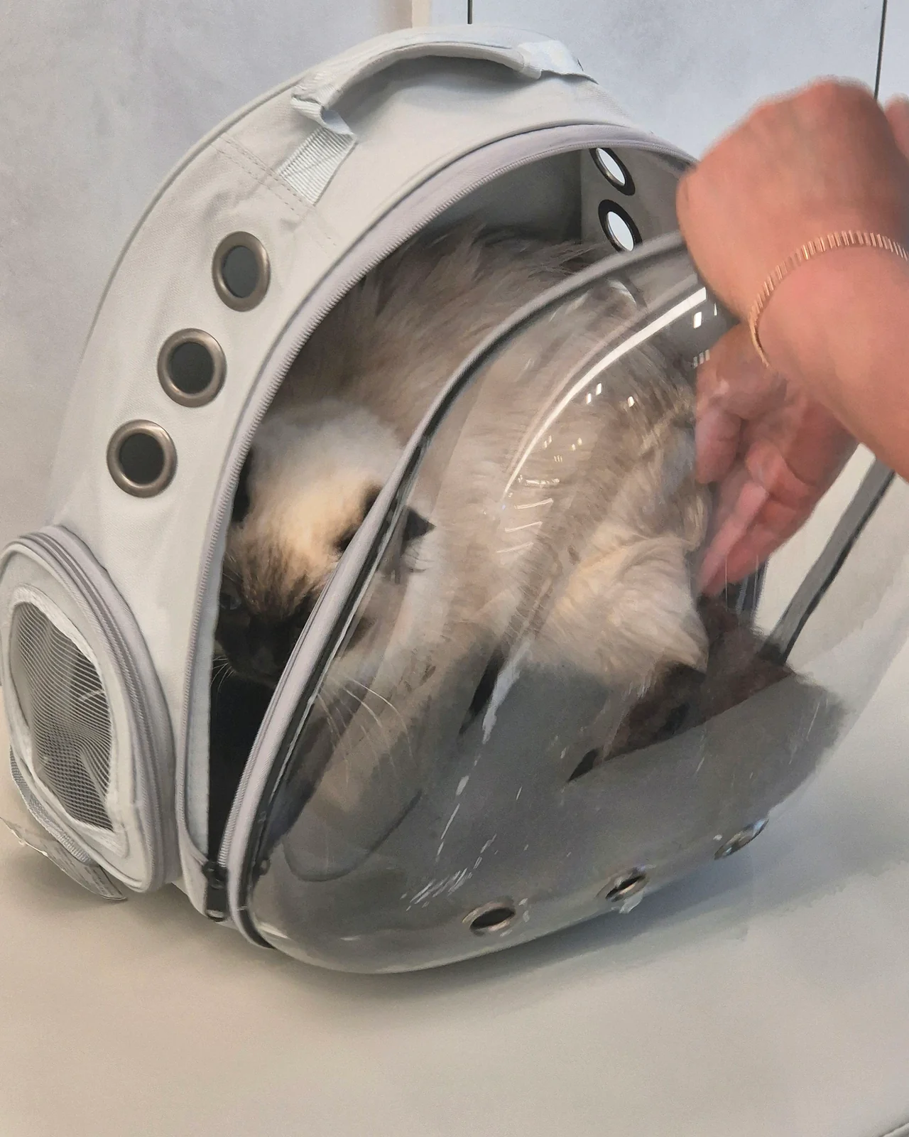 리뷰 사진 1