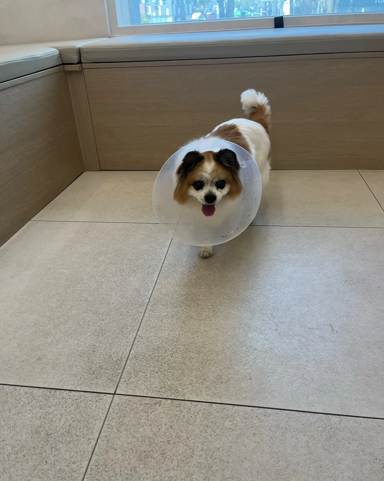 리뷰 사진 1