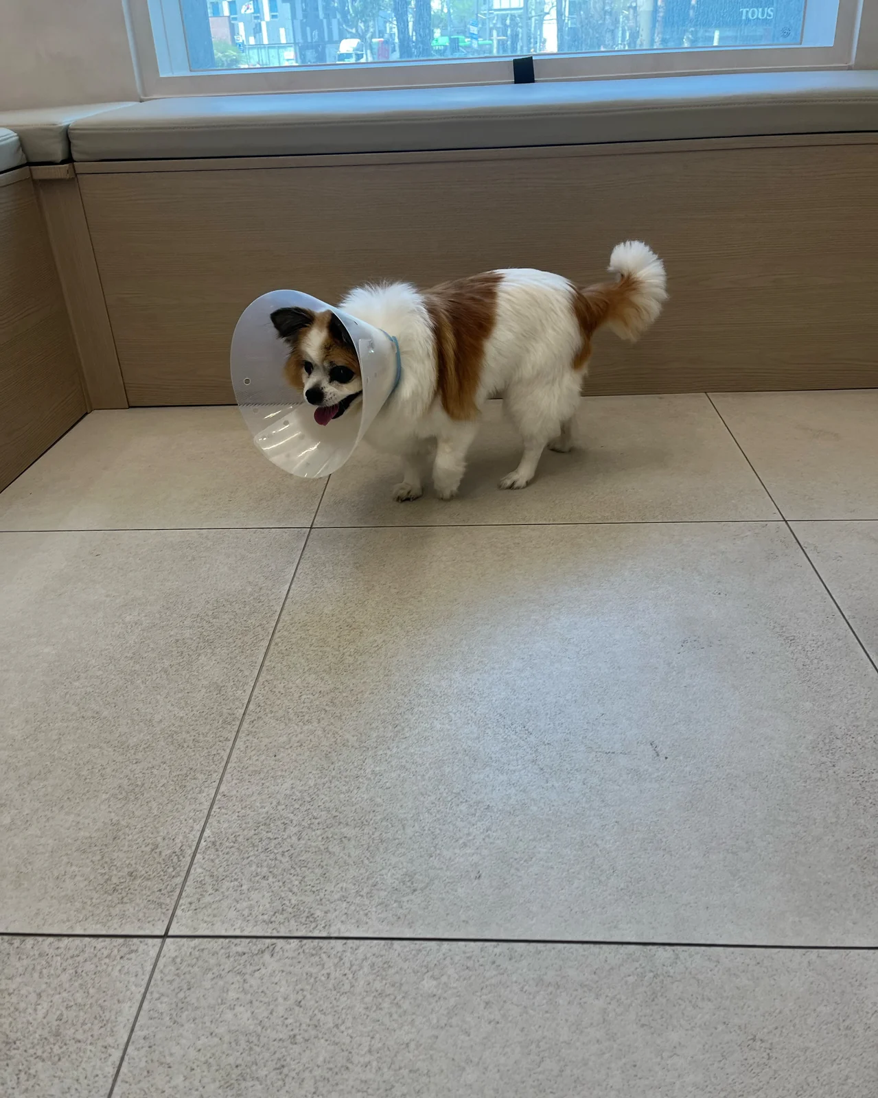리뷰 사진 2