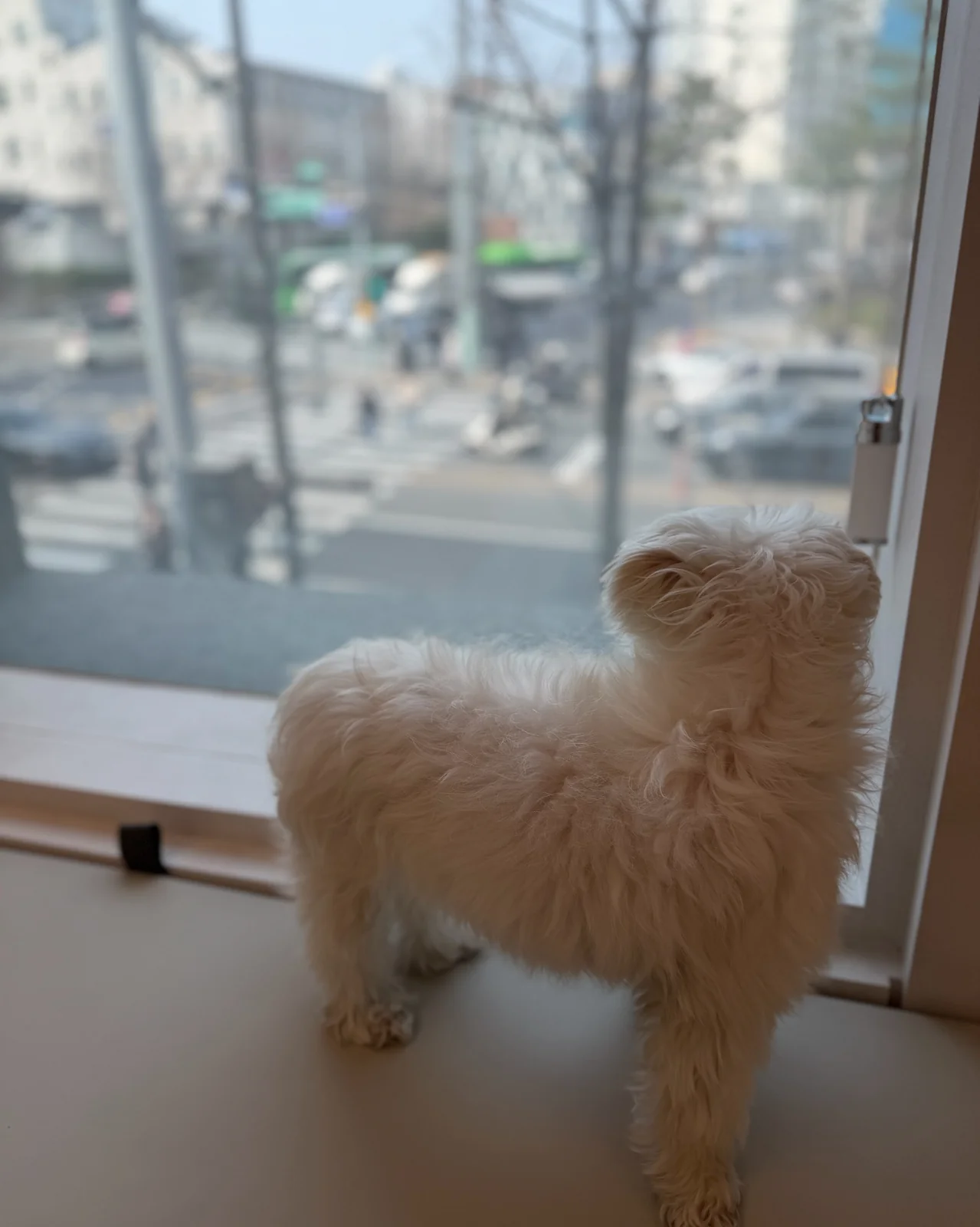 리뷰 사진 2