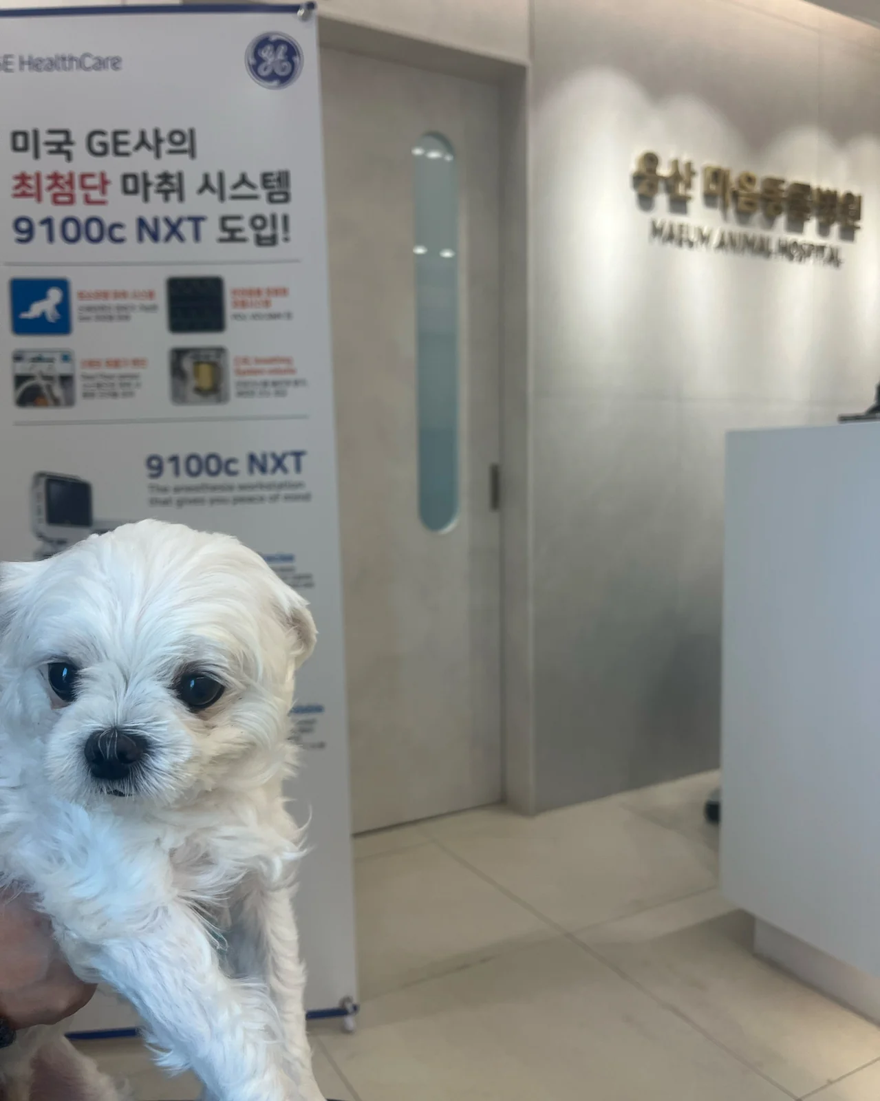 리뷰 사진 1