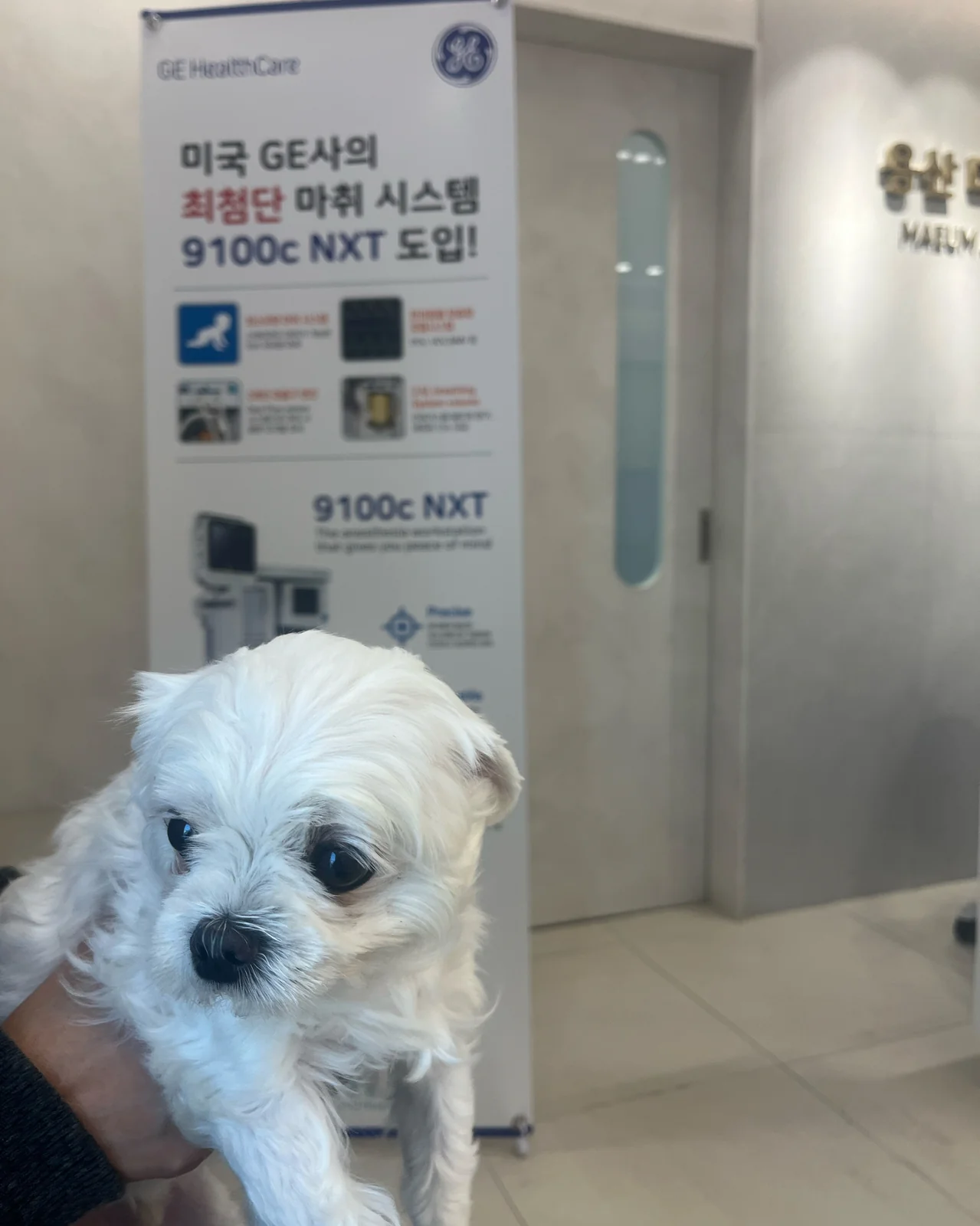 리뷰 사진 2
