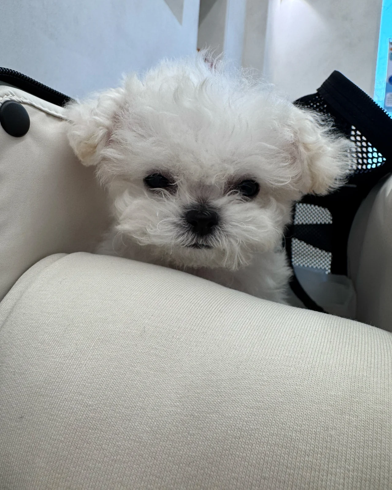리뷰 사진 1