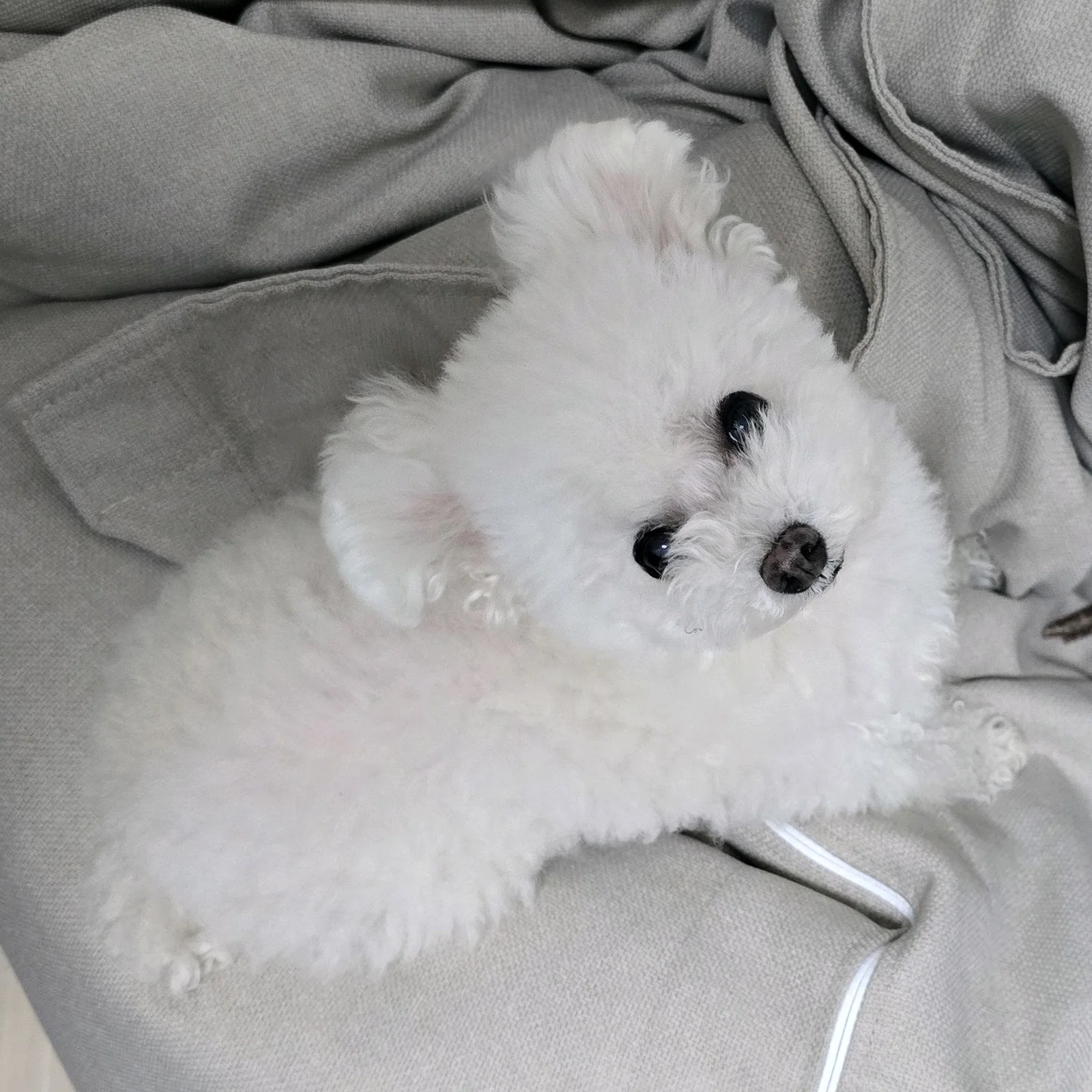 리뷰 사진 1