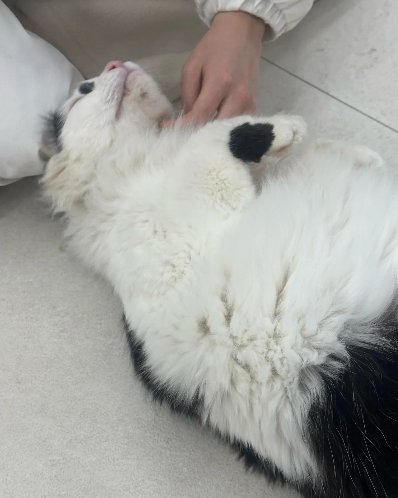 리뷰 사진 5
