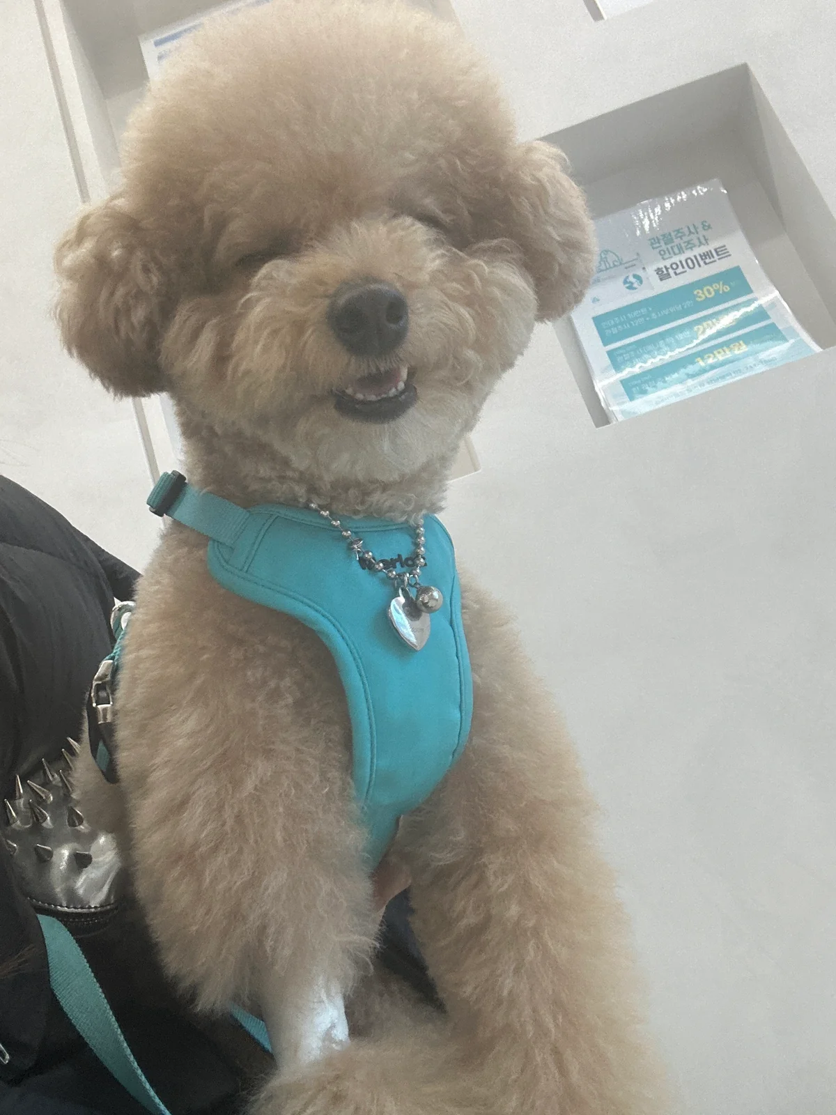 리뷰 사진 1