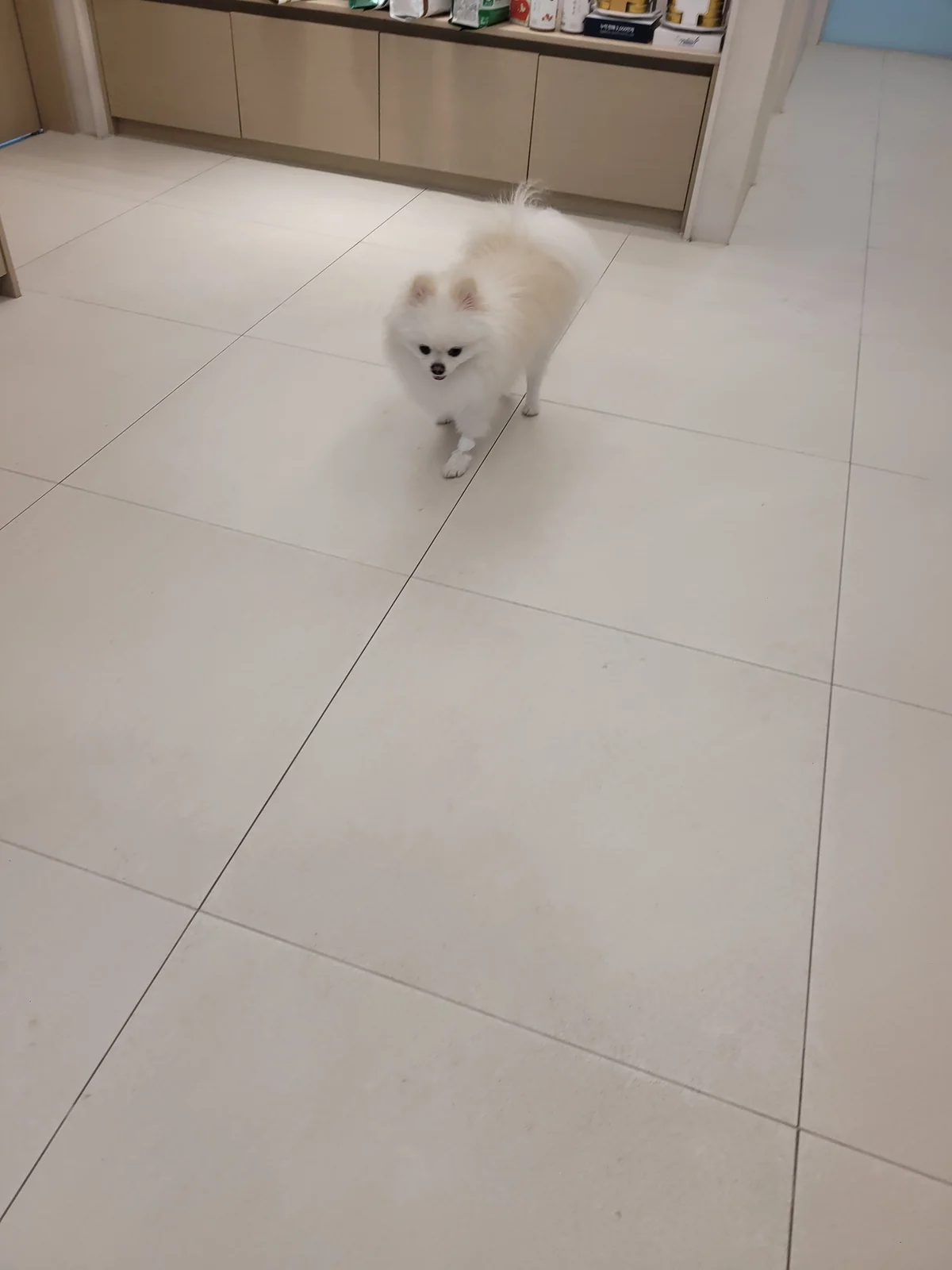 리뷰 사진 1