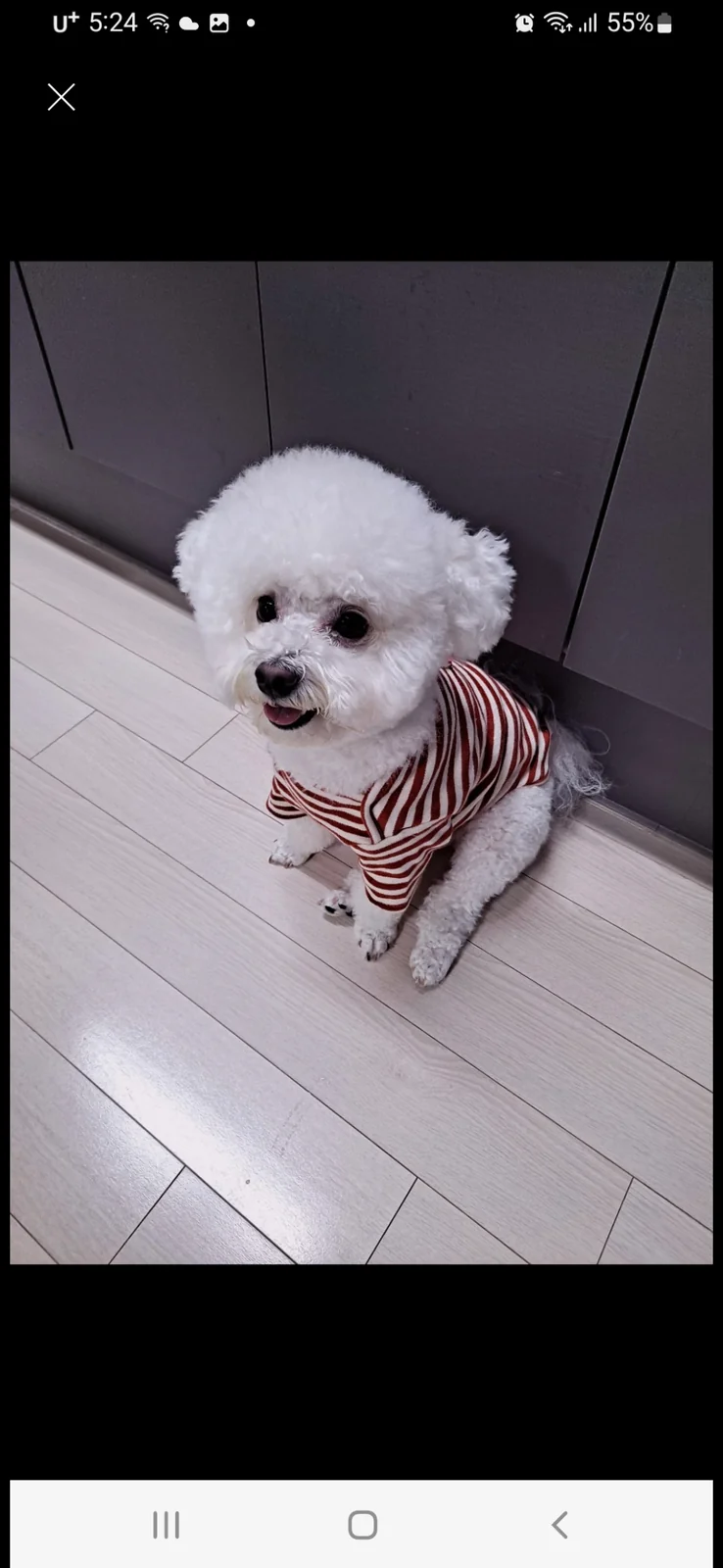 리뷰 사진 1