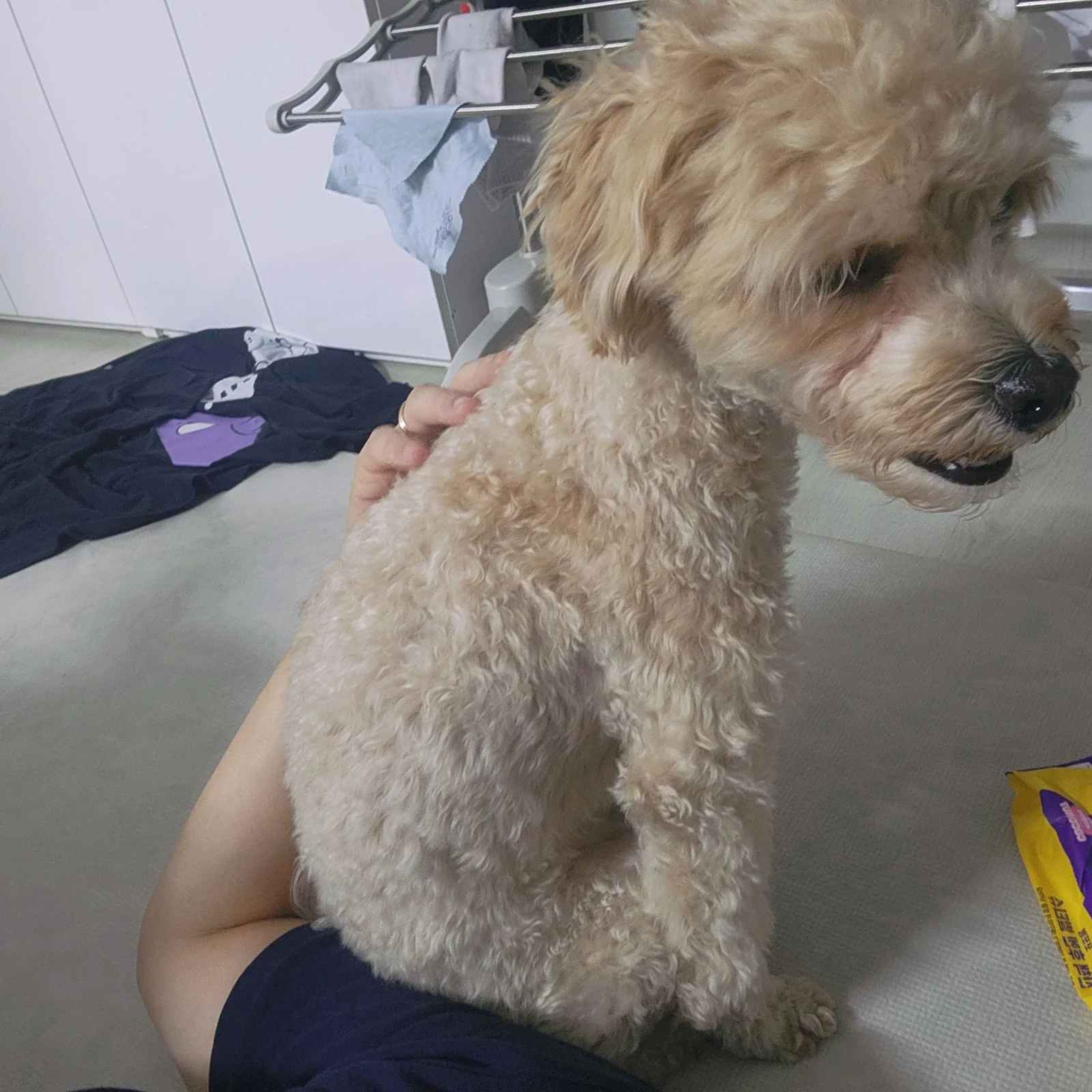 리뷰 사진 1