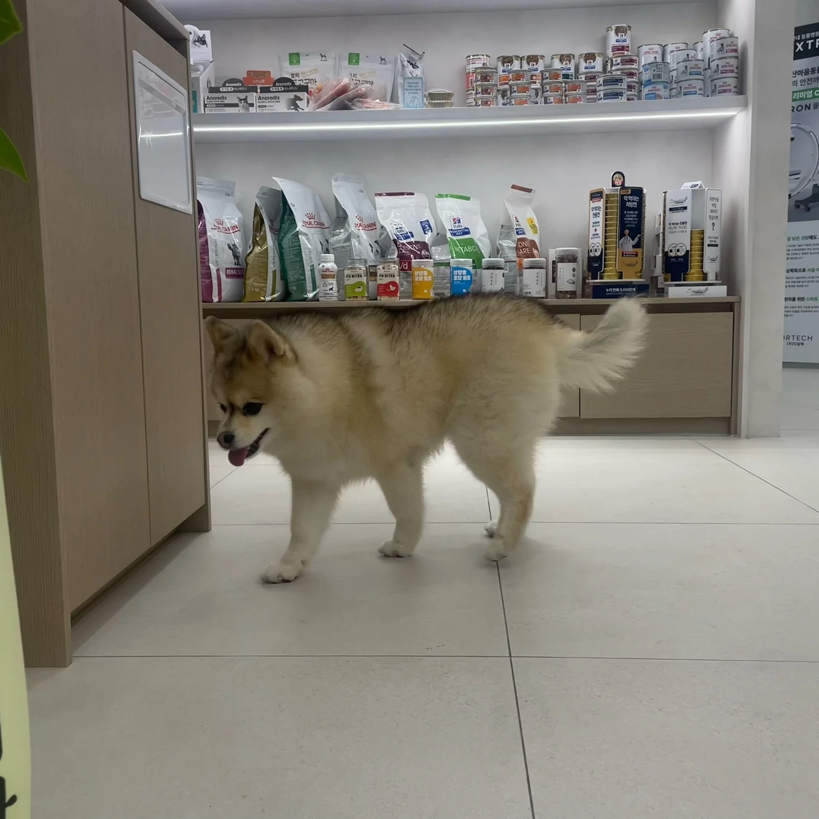 리뷰 사진 2