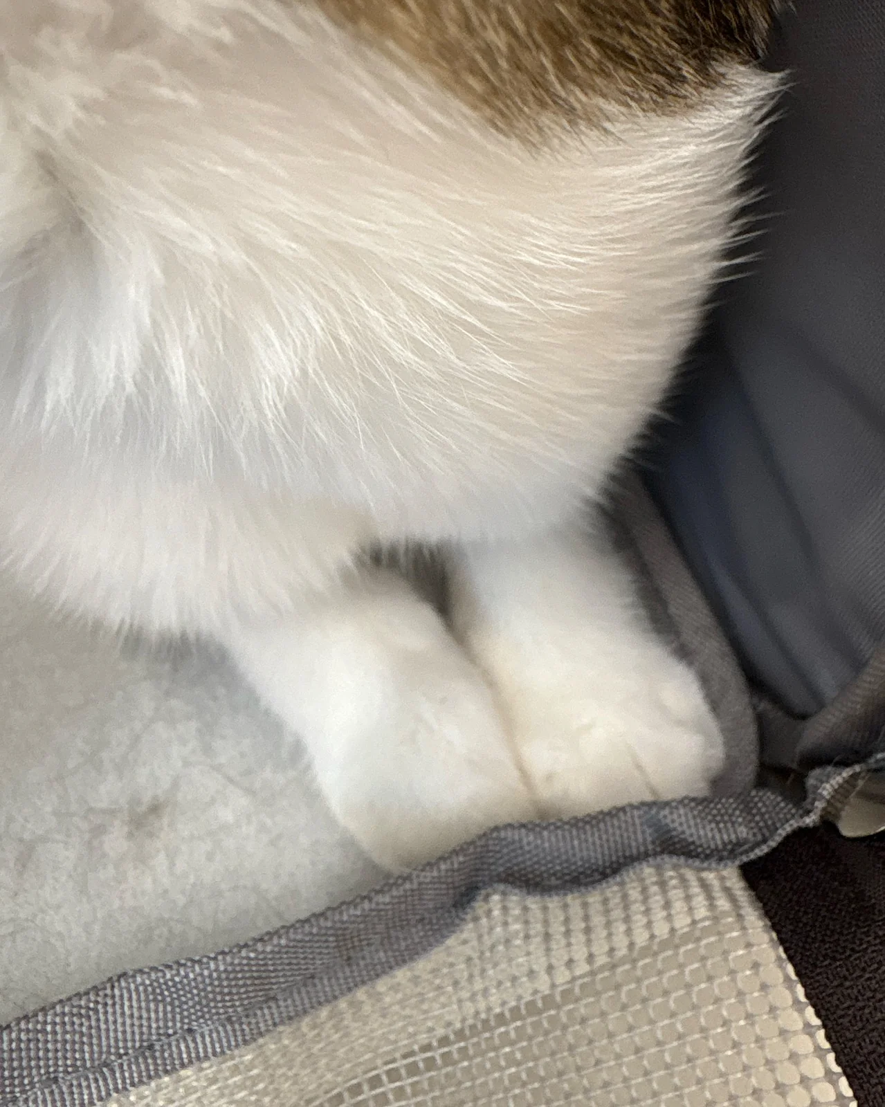 리뷰 사진 1