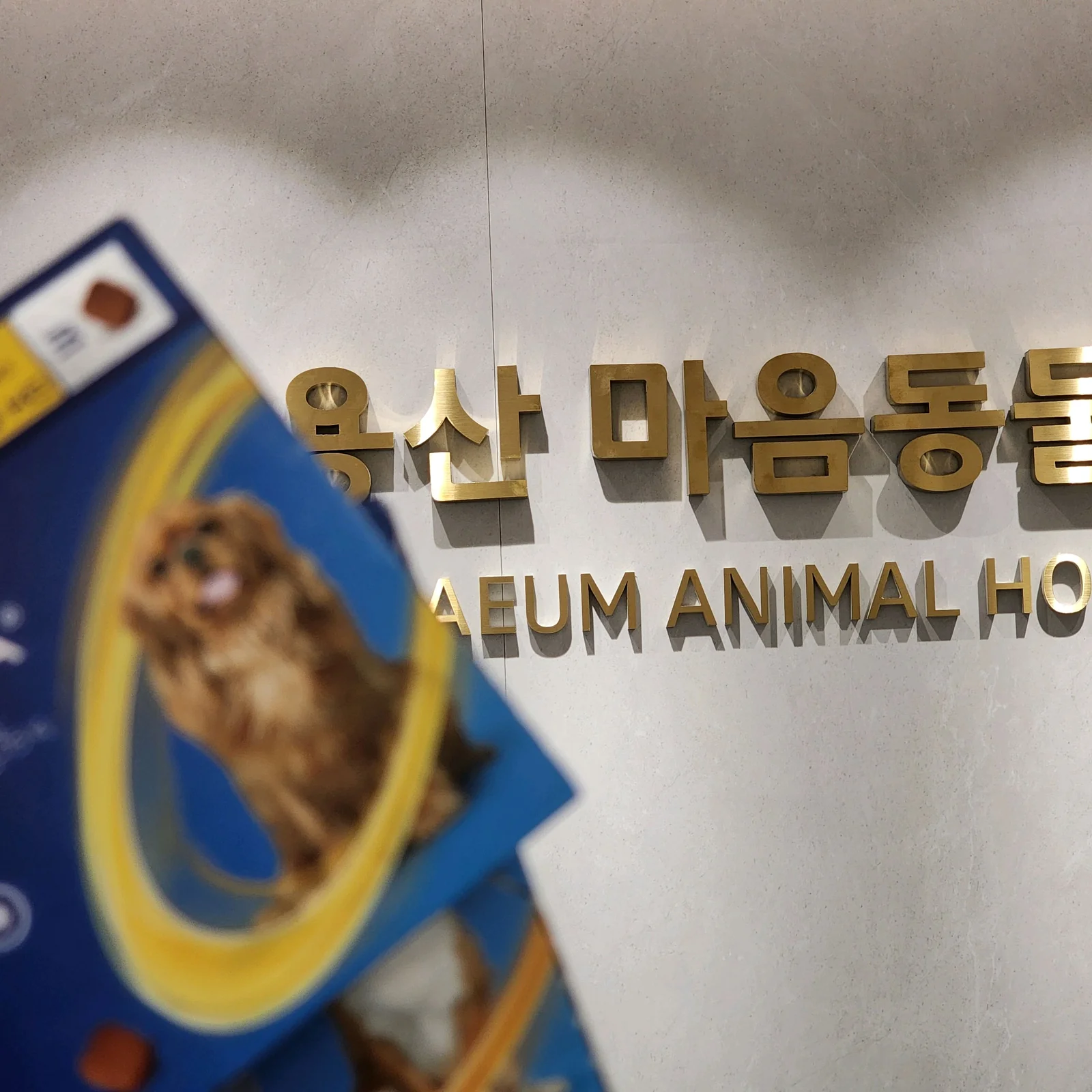 리뷰 사진 1