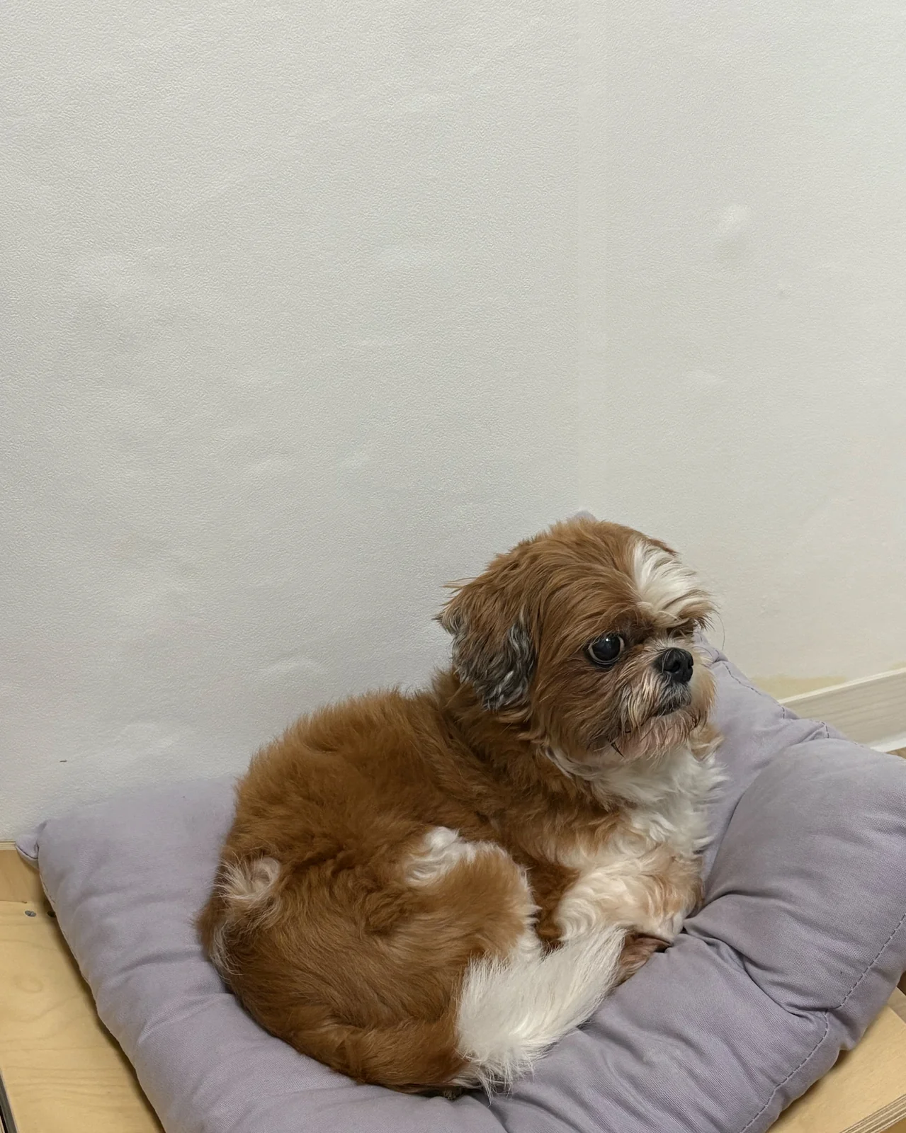 리뷰 사진 1