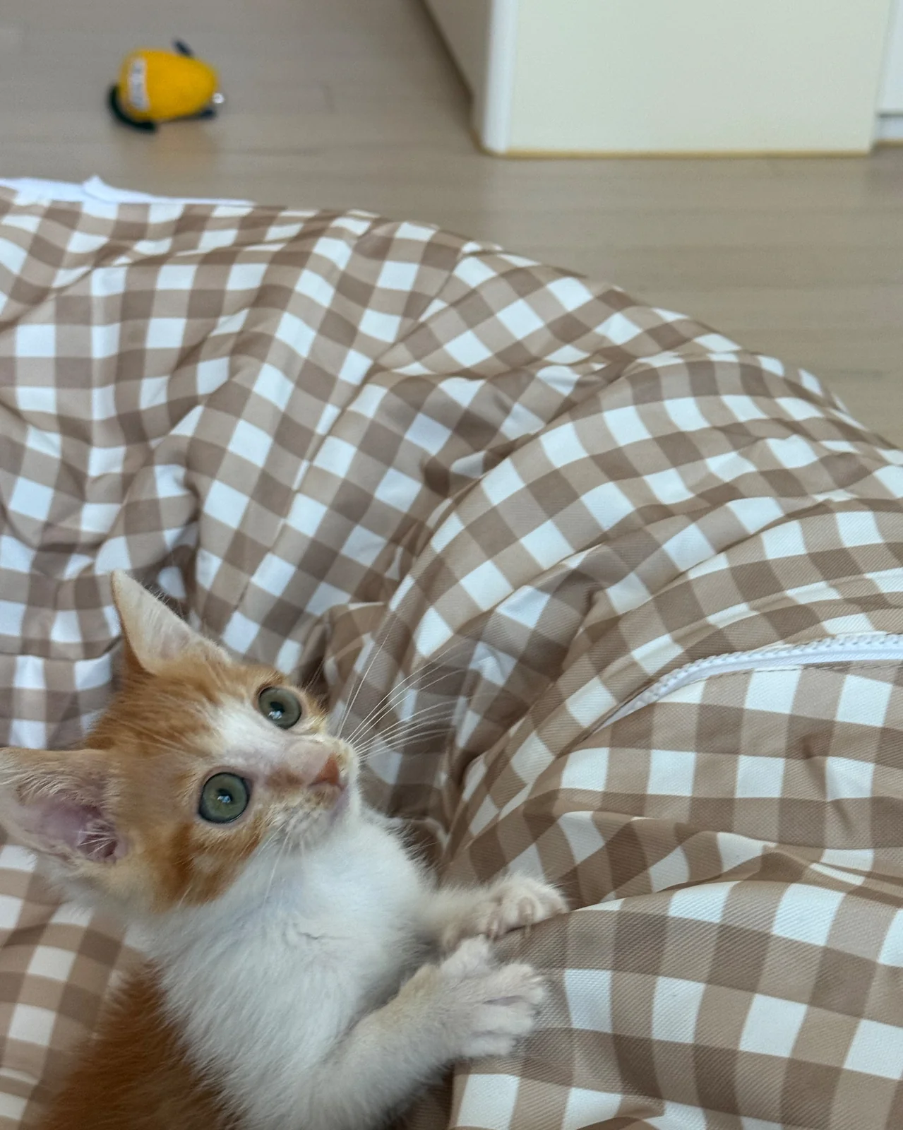 리뷰 사진 1
