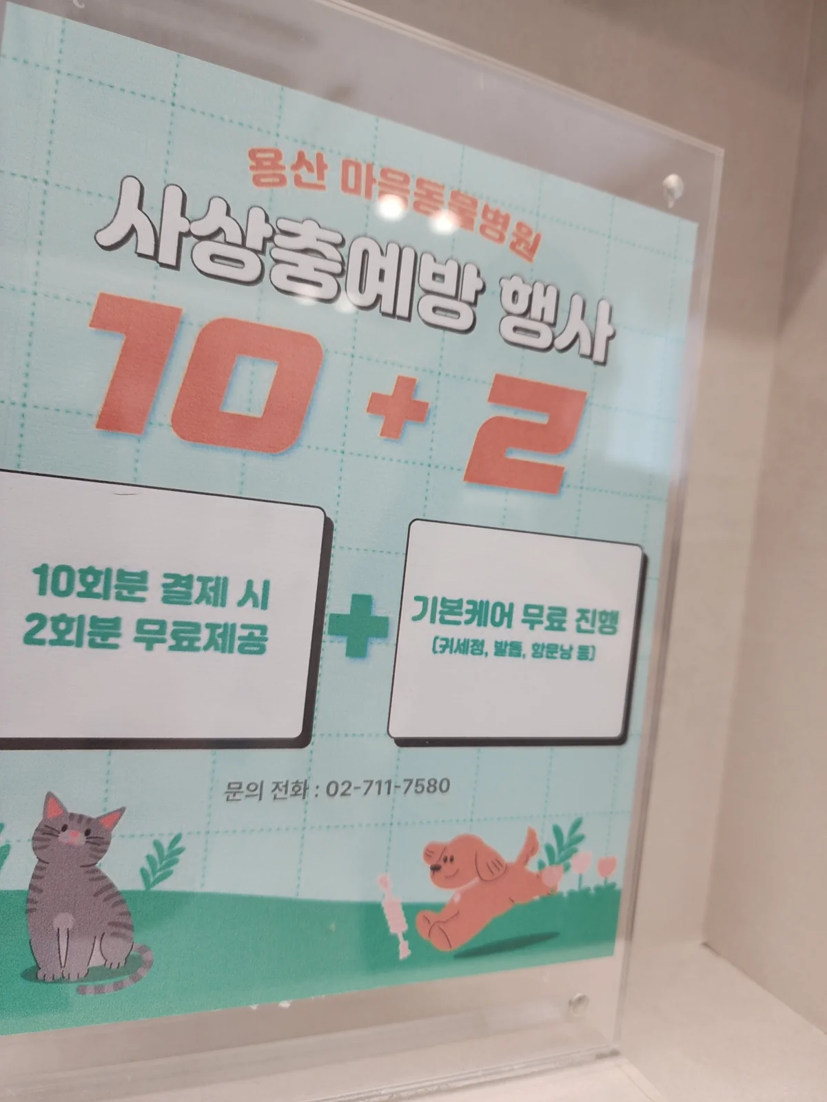리뷰 사진 2