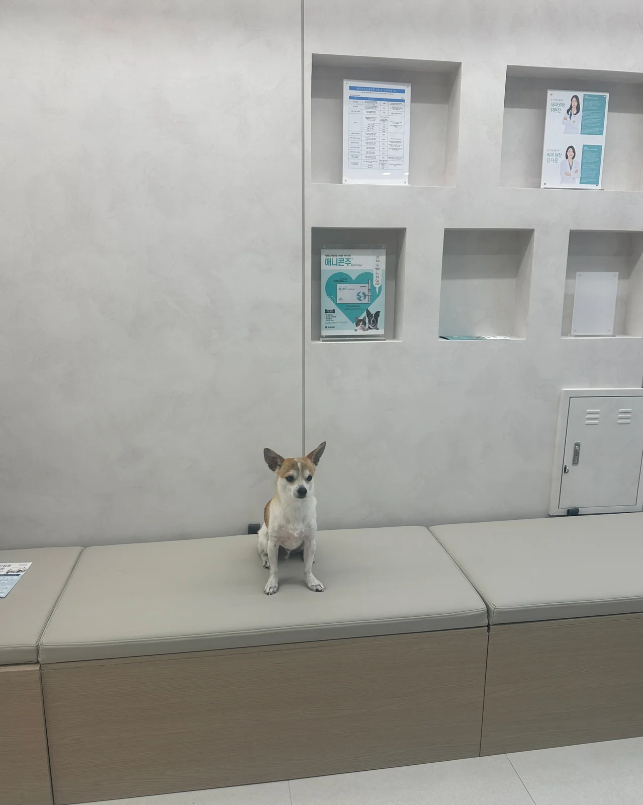 리뷰 사진 1