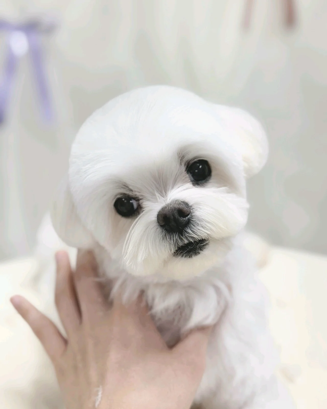 리뷰 사진 2