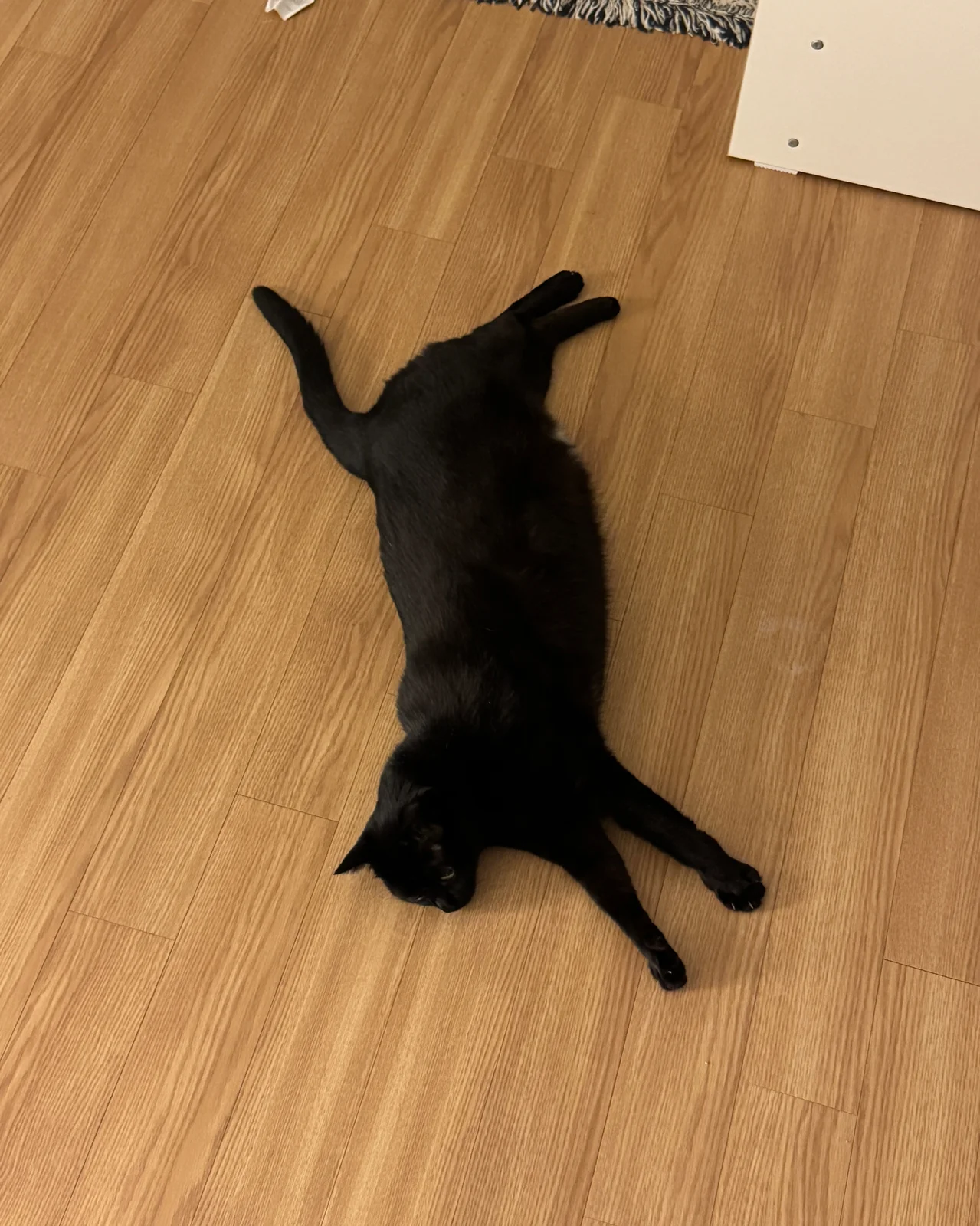 리뷰 사진 1