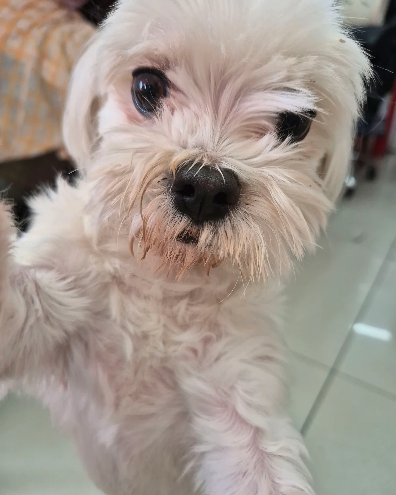리뷰 사진 2