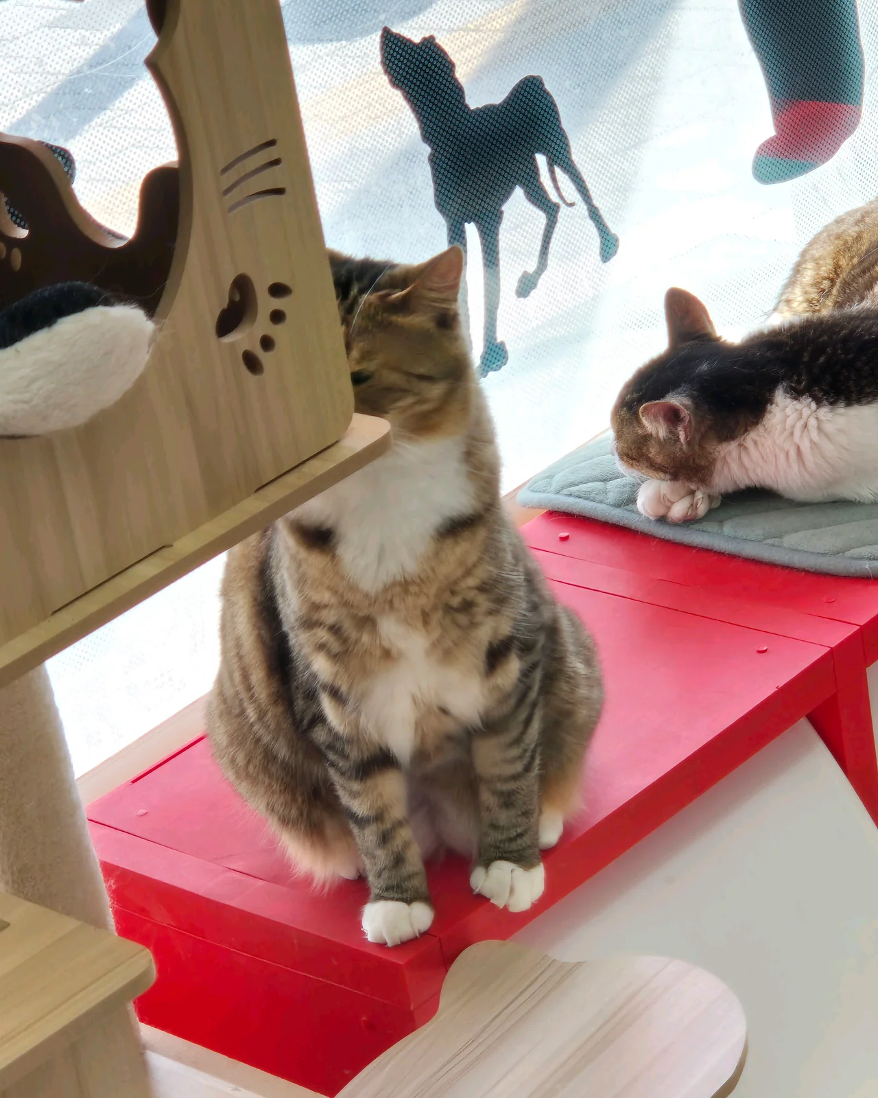 리뷰 사진 3