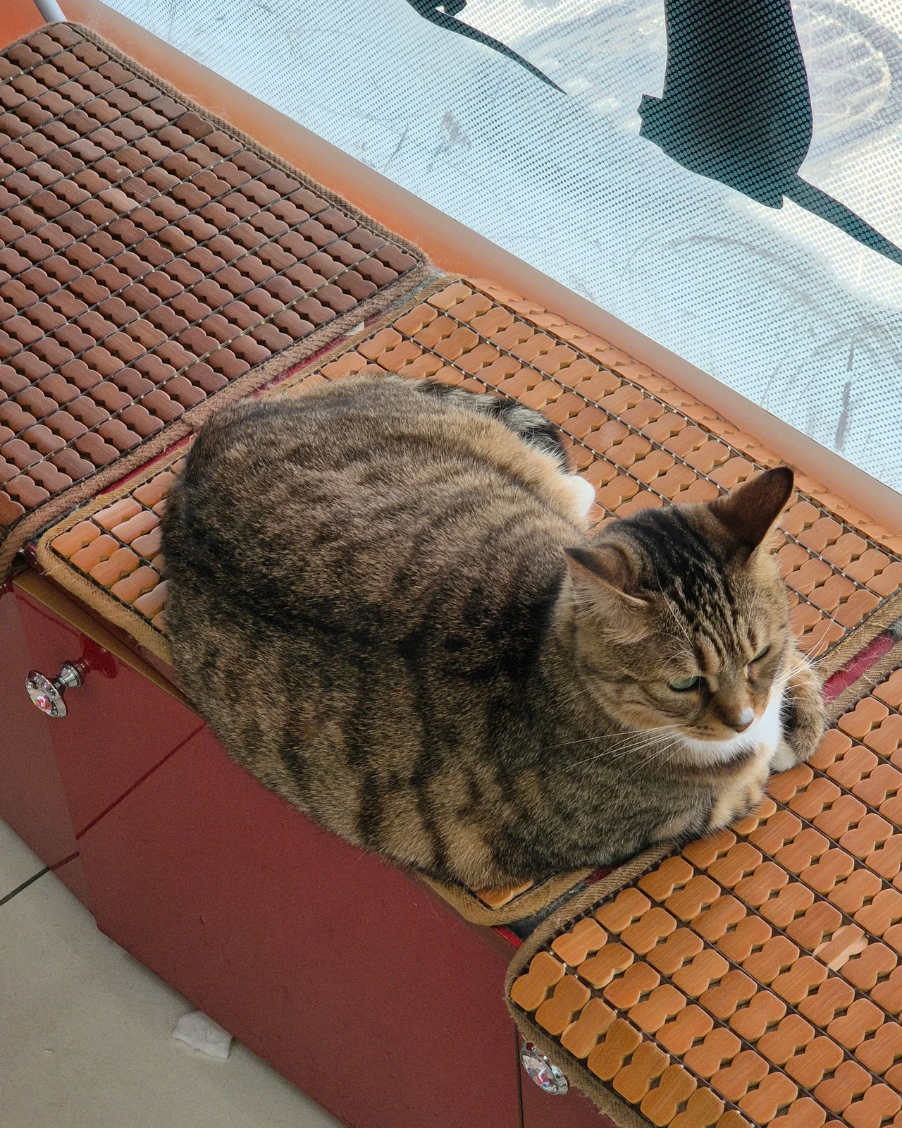 리뷰 사진 4