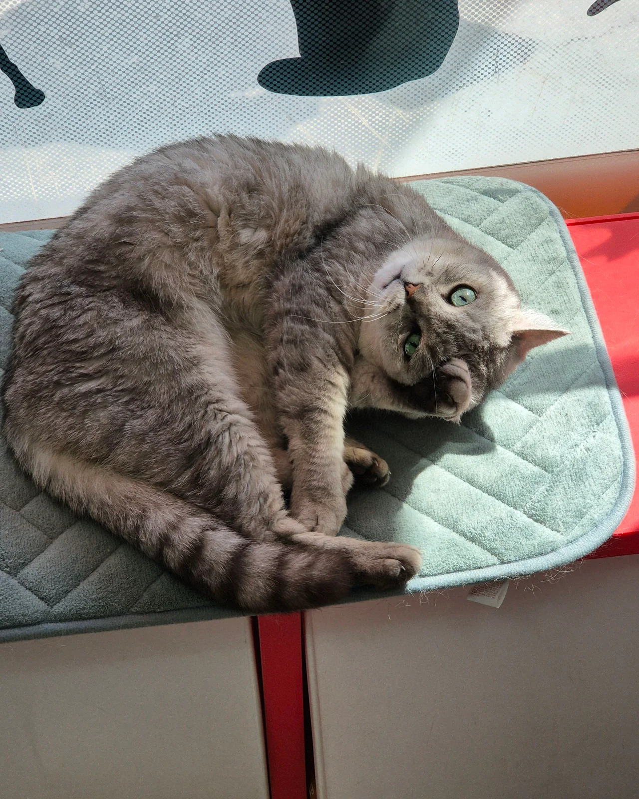 리뷰 사진 5