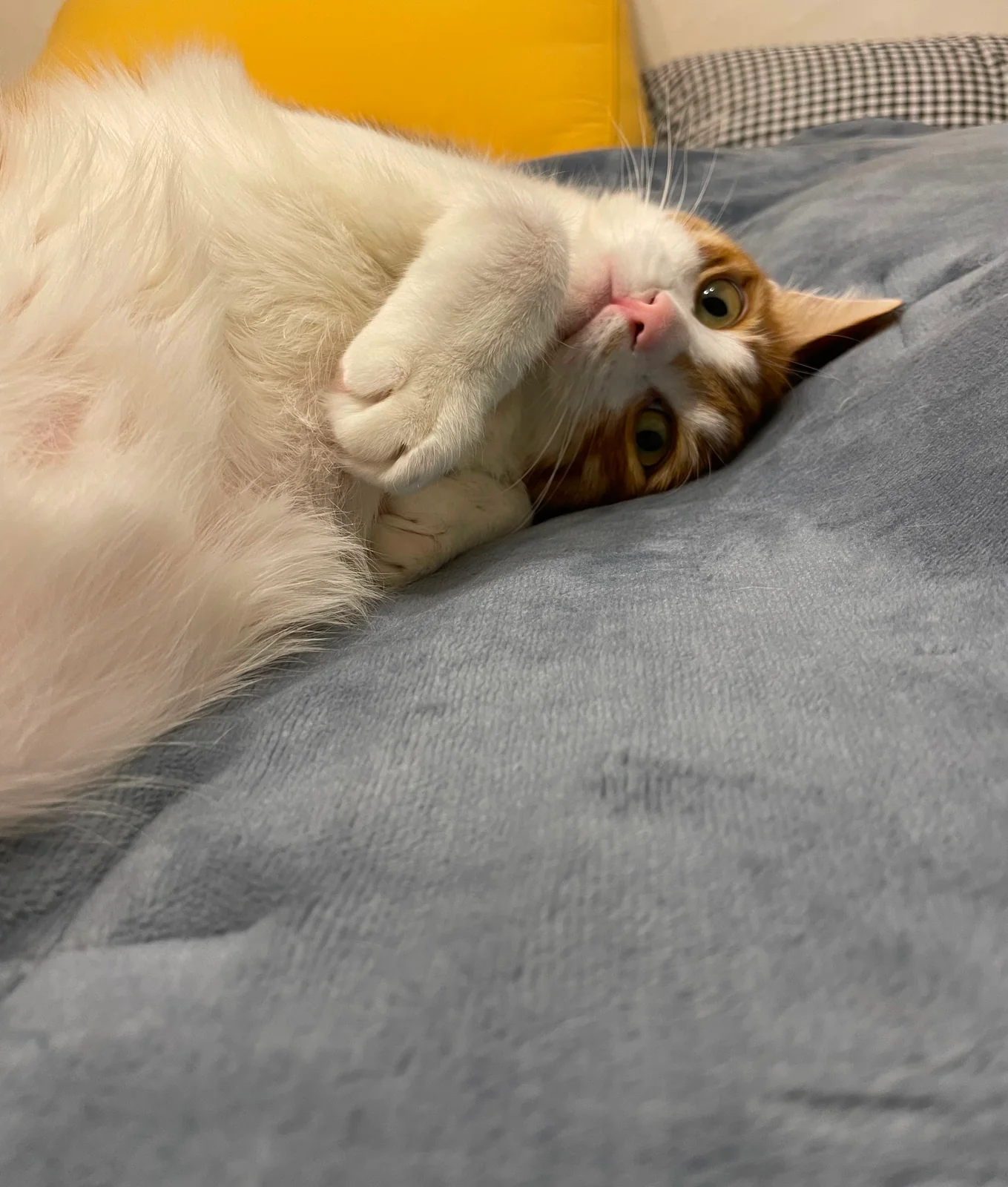 리뷰 사진 1