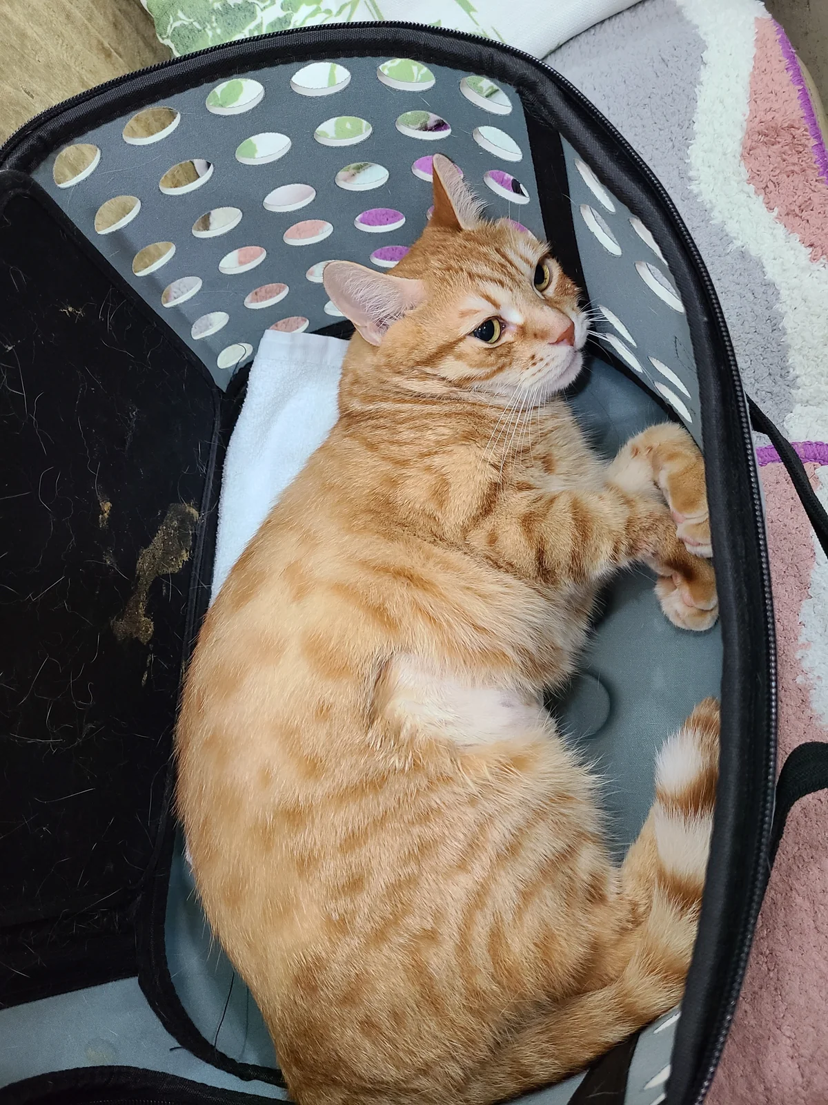 리뷰 사진 1