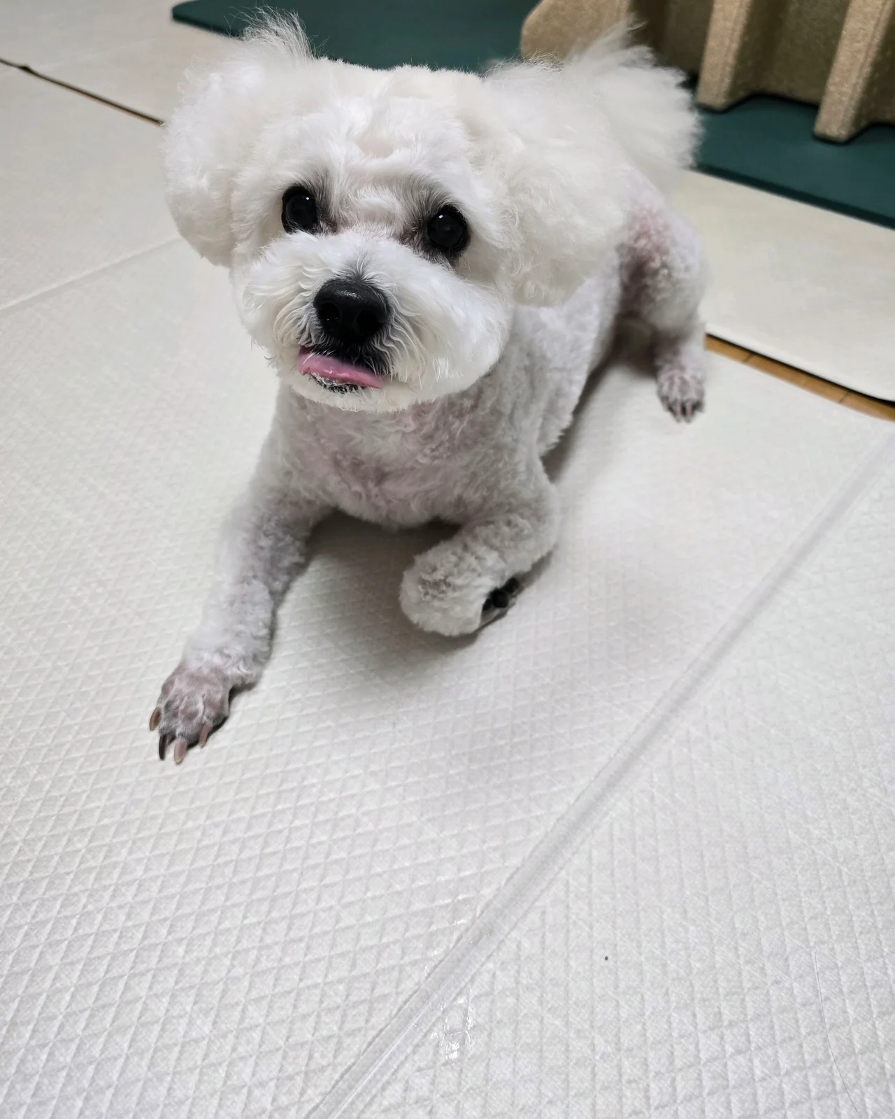 리뷰 사진 2