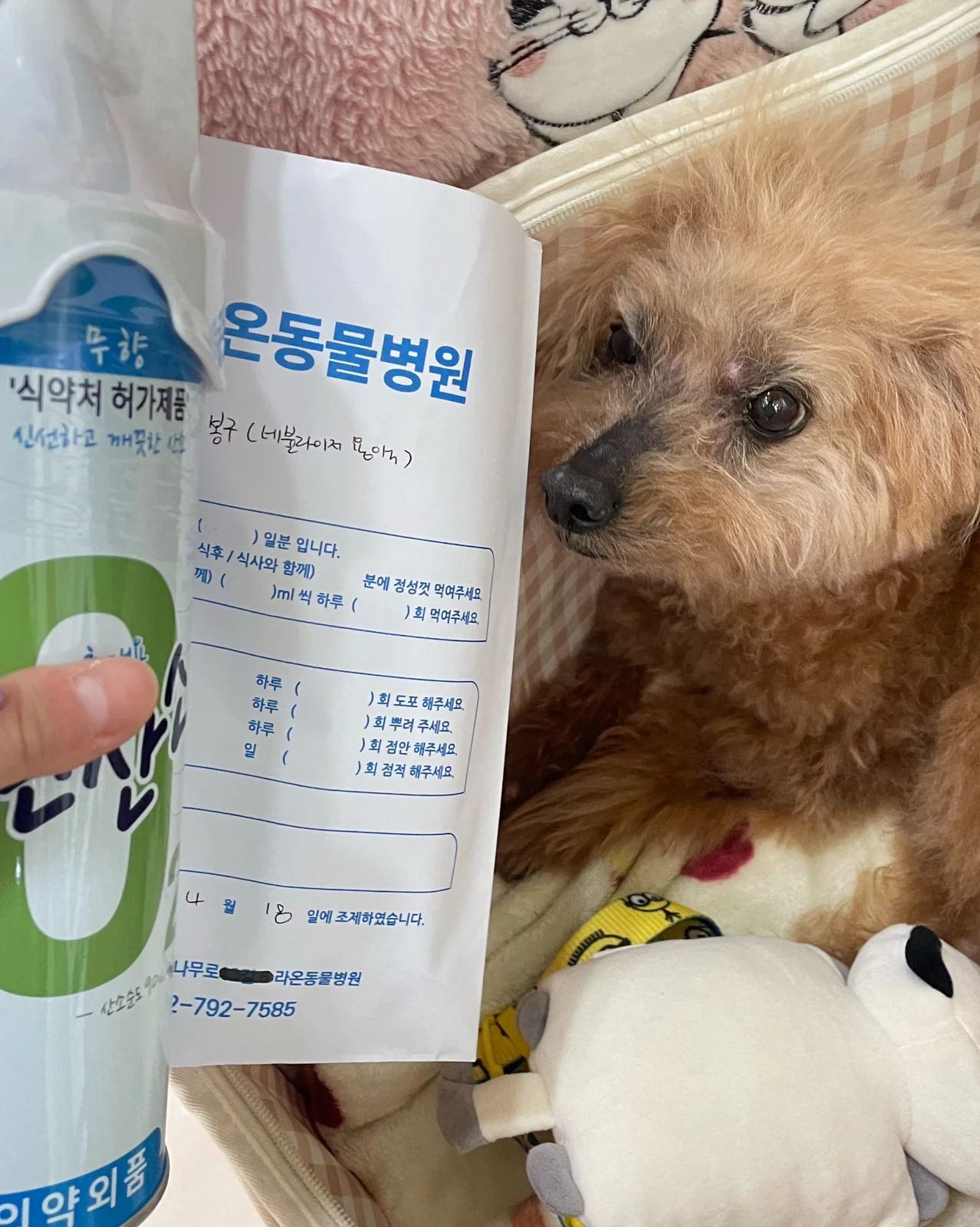 리뷰 사진 1