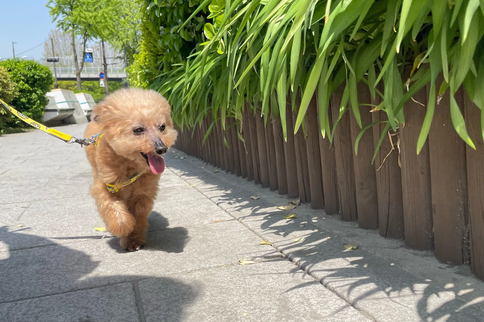 리뷰 사진 2