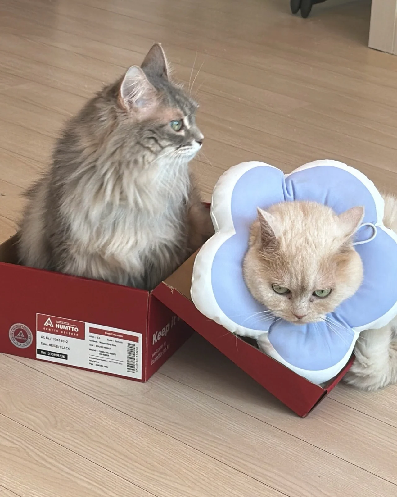 리뷰 사진 1