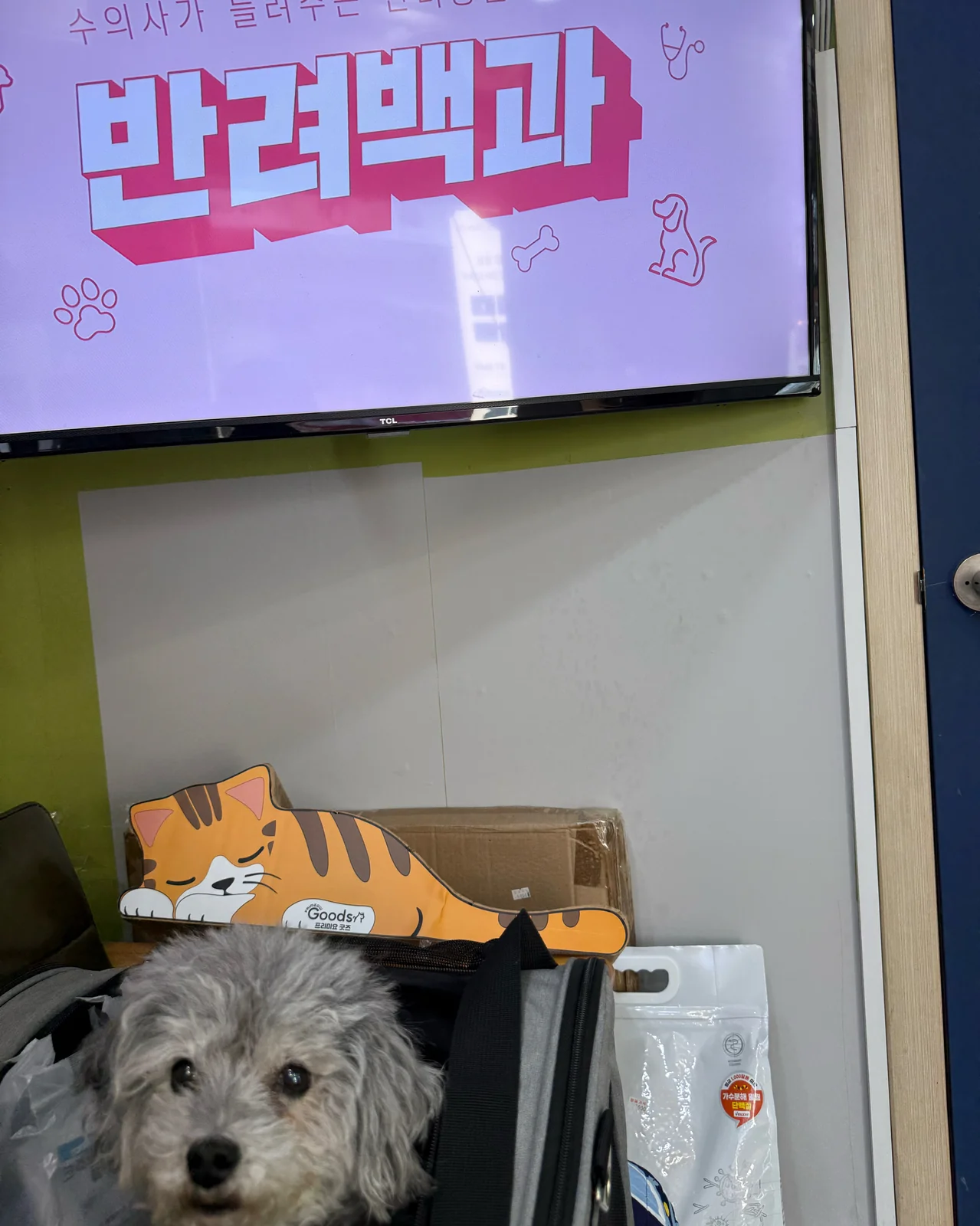 라온동물병원 사진 2