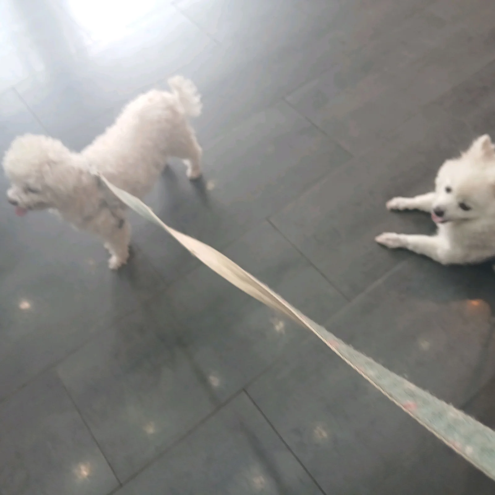 리뷰 사진 2