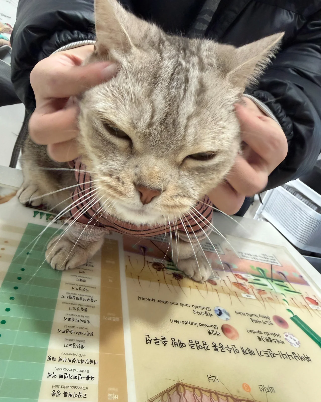 리뷰 사진 1