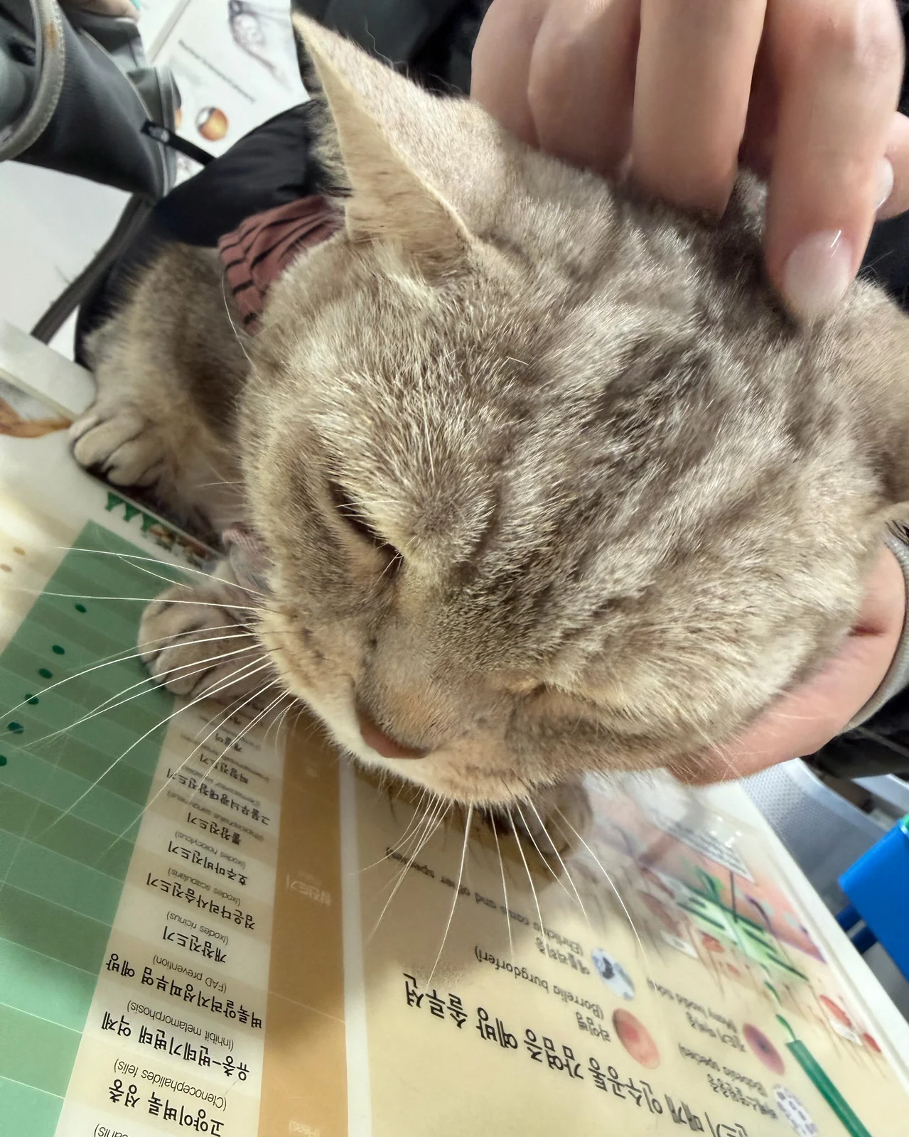 리뷰 사진 2
