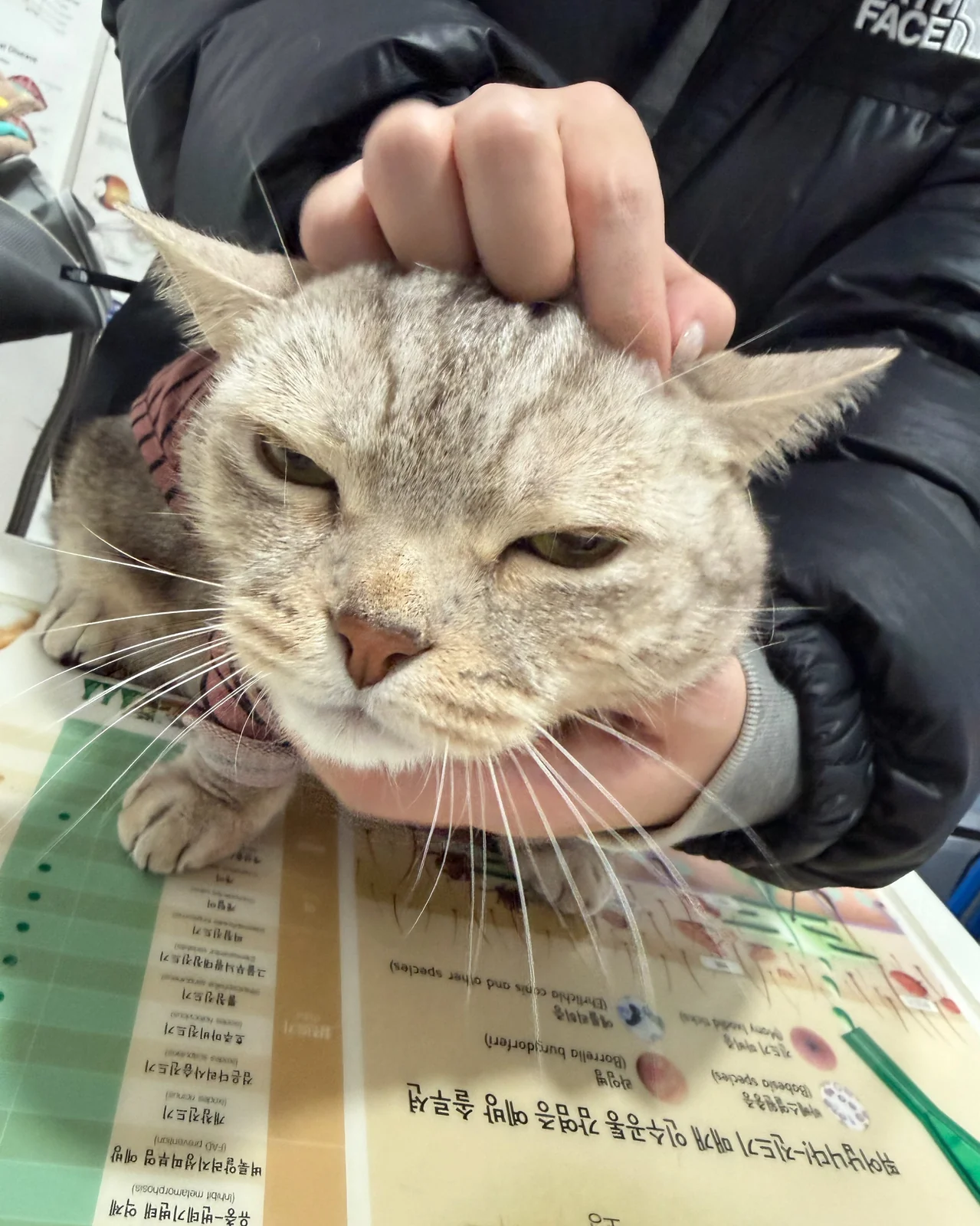 리뷰 사진 3