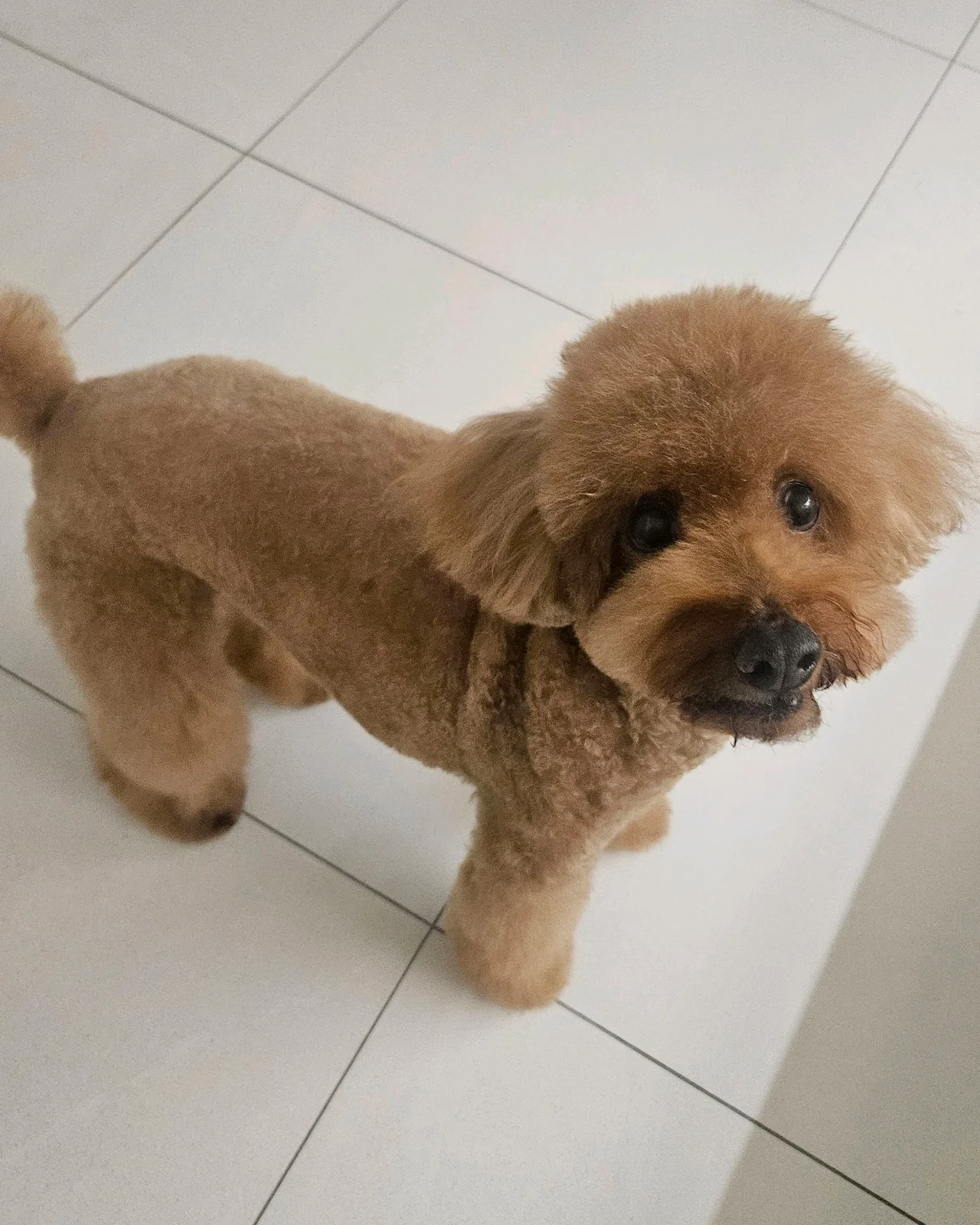 엉클장동물병원 사진 2