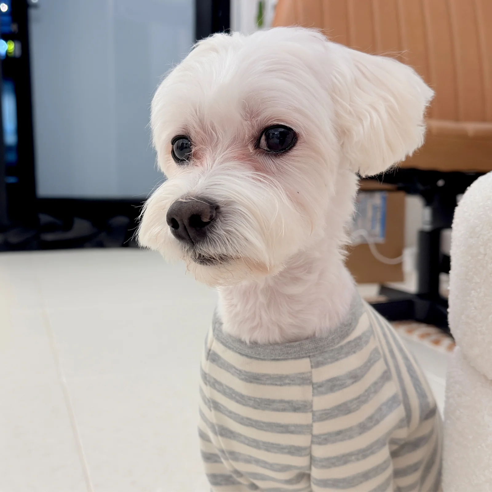 리뷰 사진 1