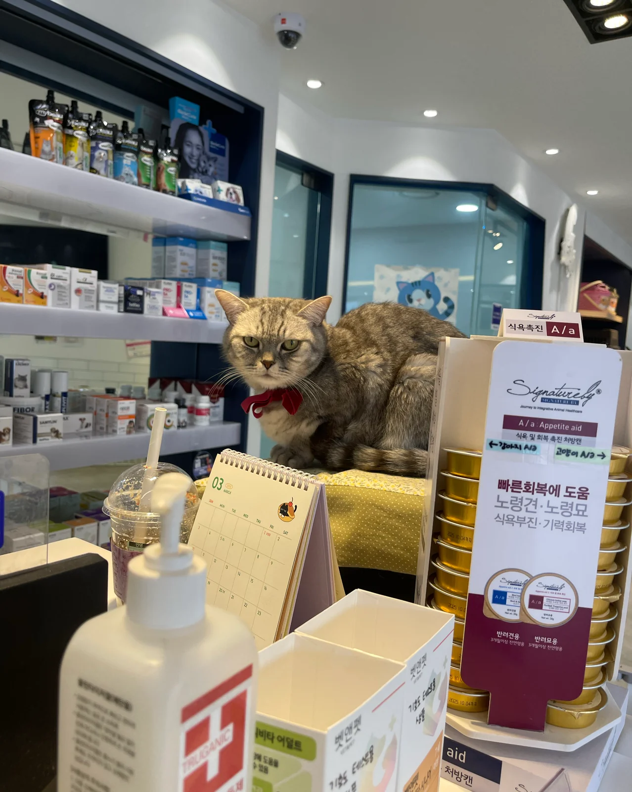 리뷰 사진 1