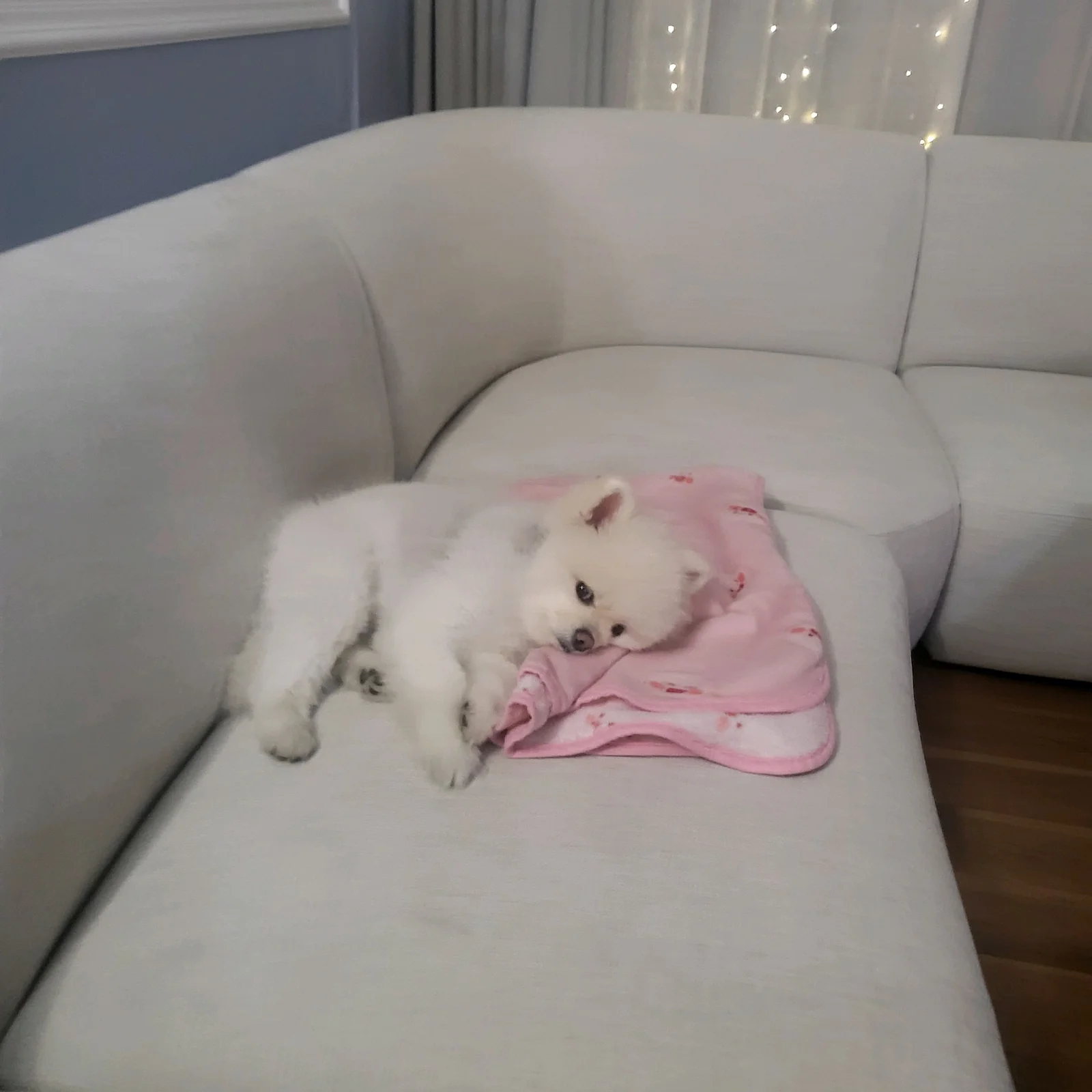 리뷰 사진 1