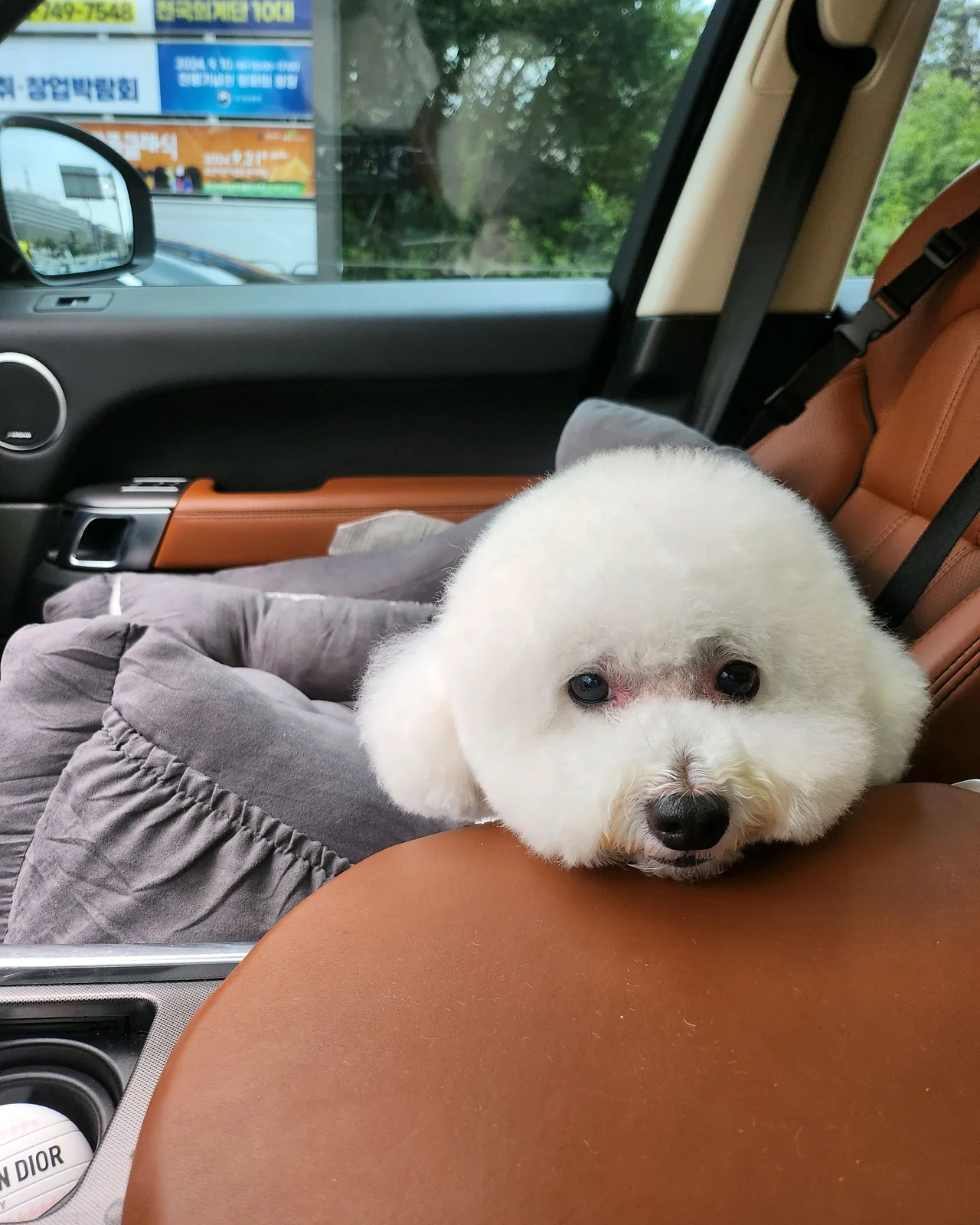 리뷰 사진 1