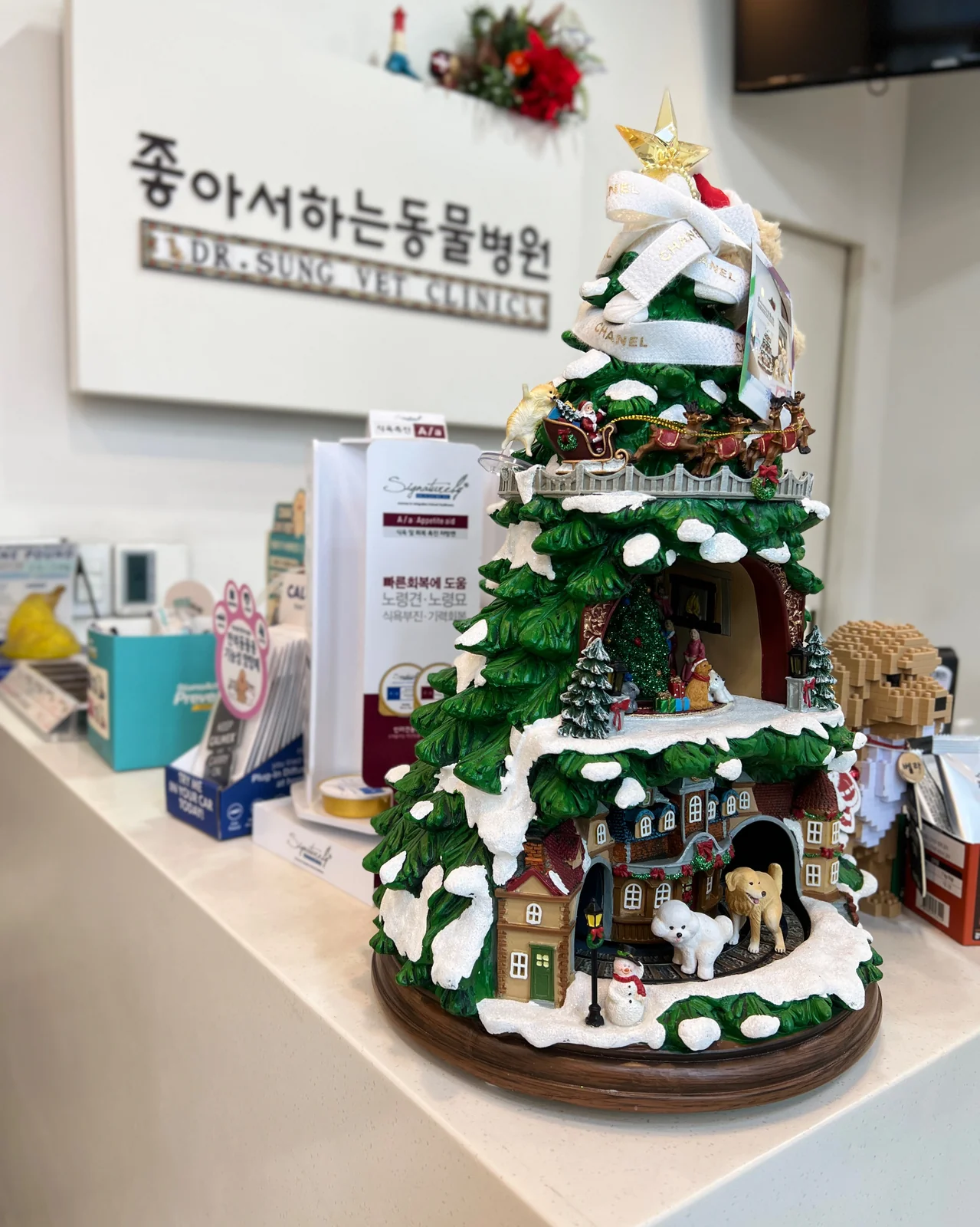 리뷰 사진 1