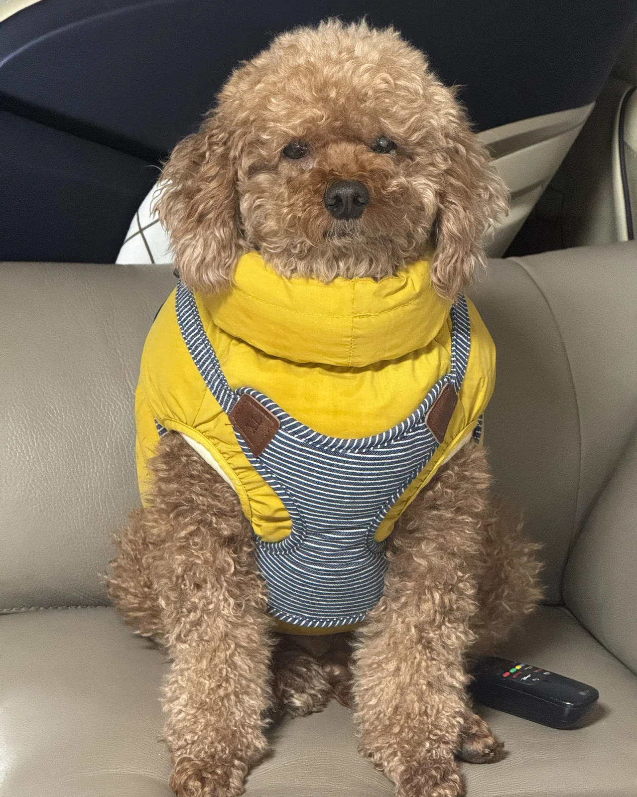 리뷰 사진 1