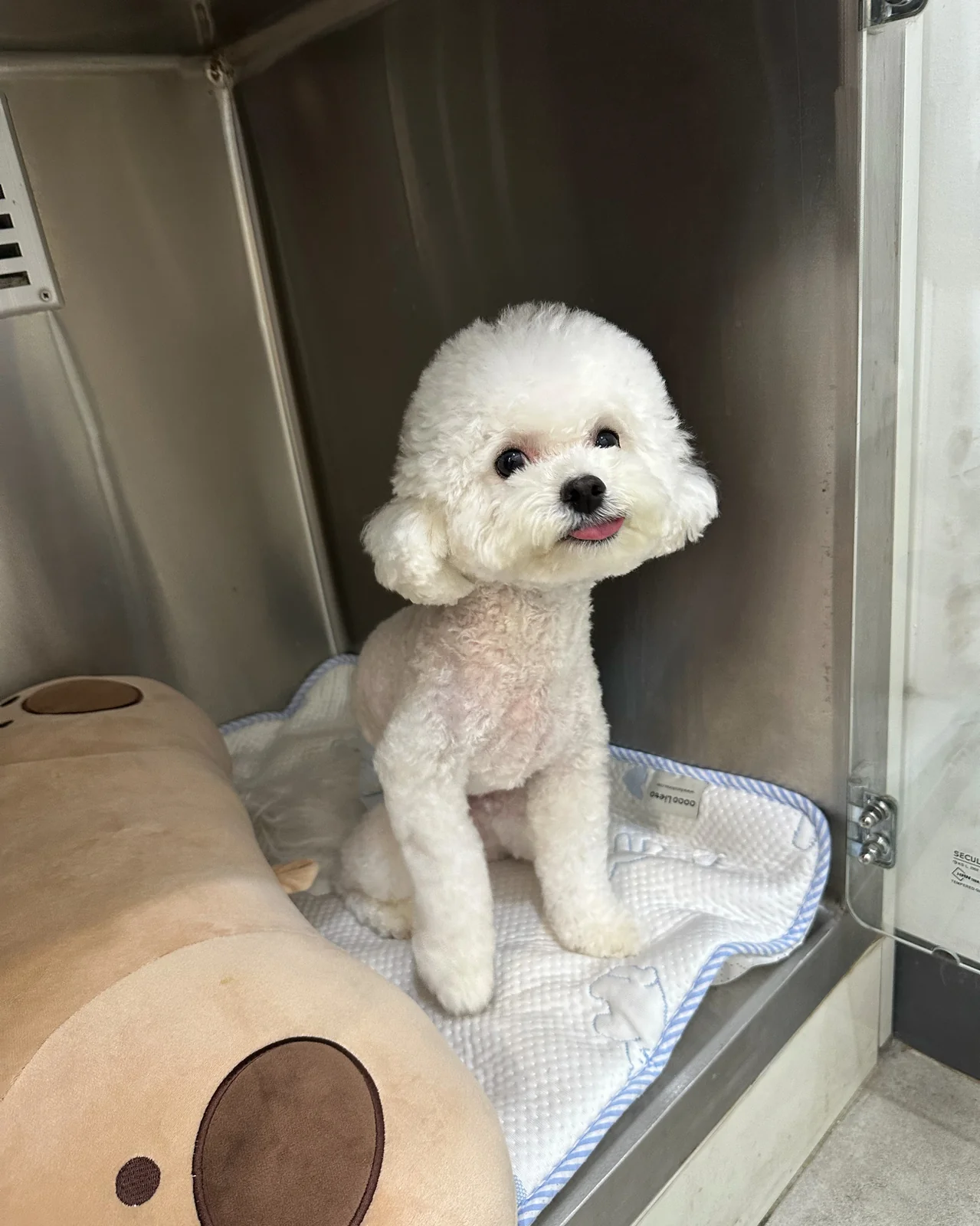 리뷰 사진 1