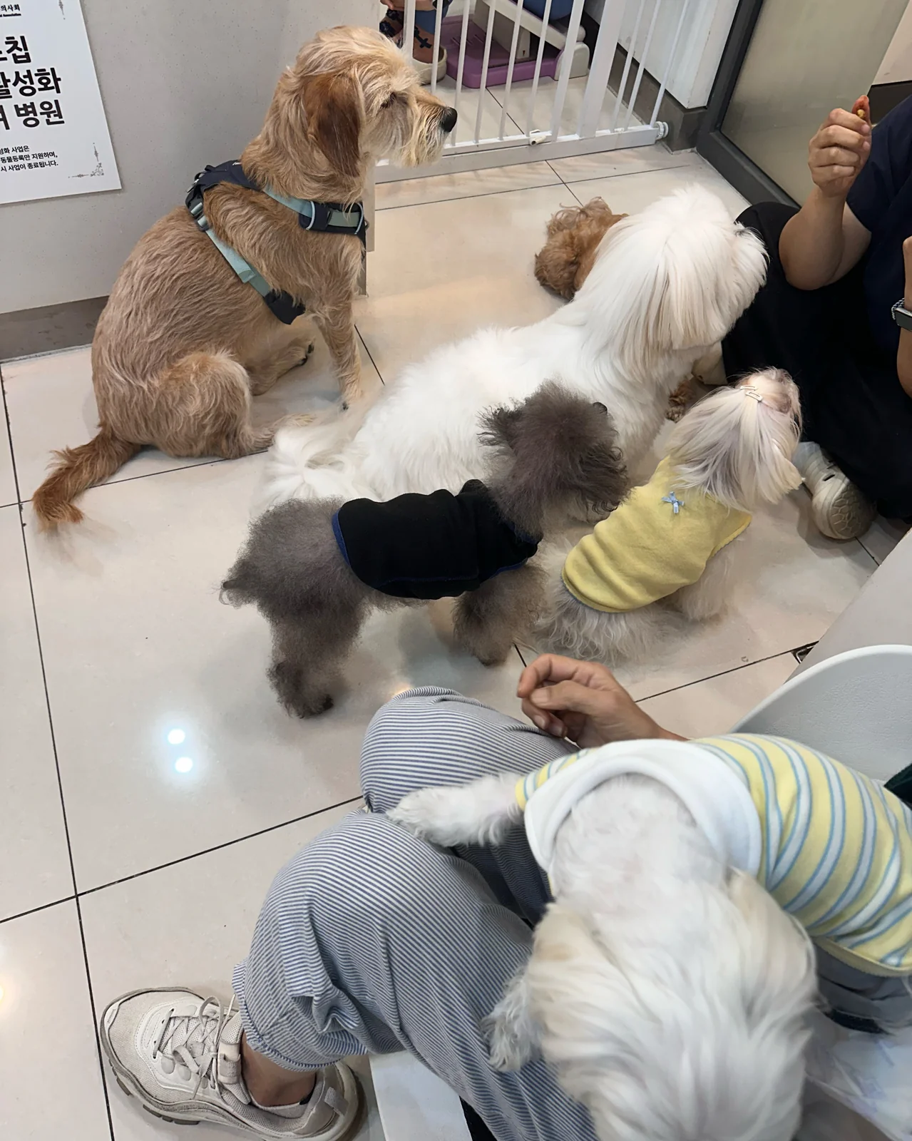 리뷰 사진 1