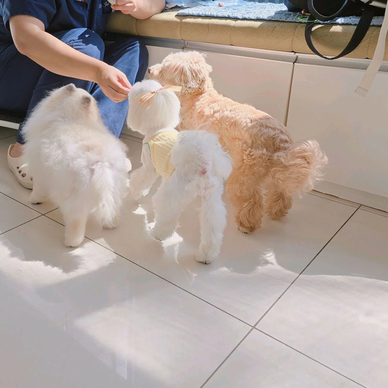 리뷰 사진 1