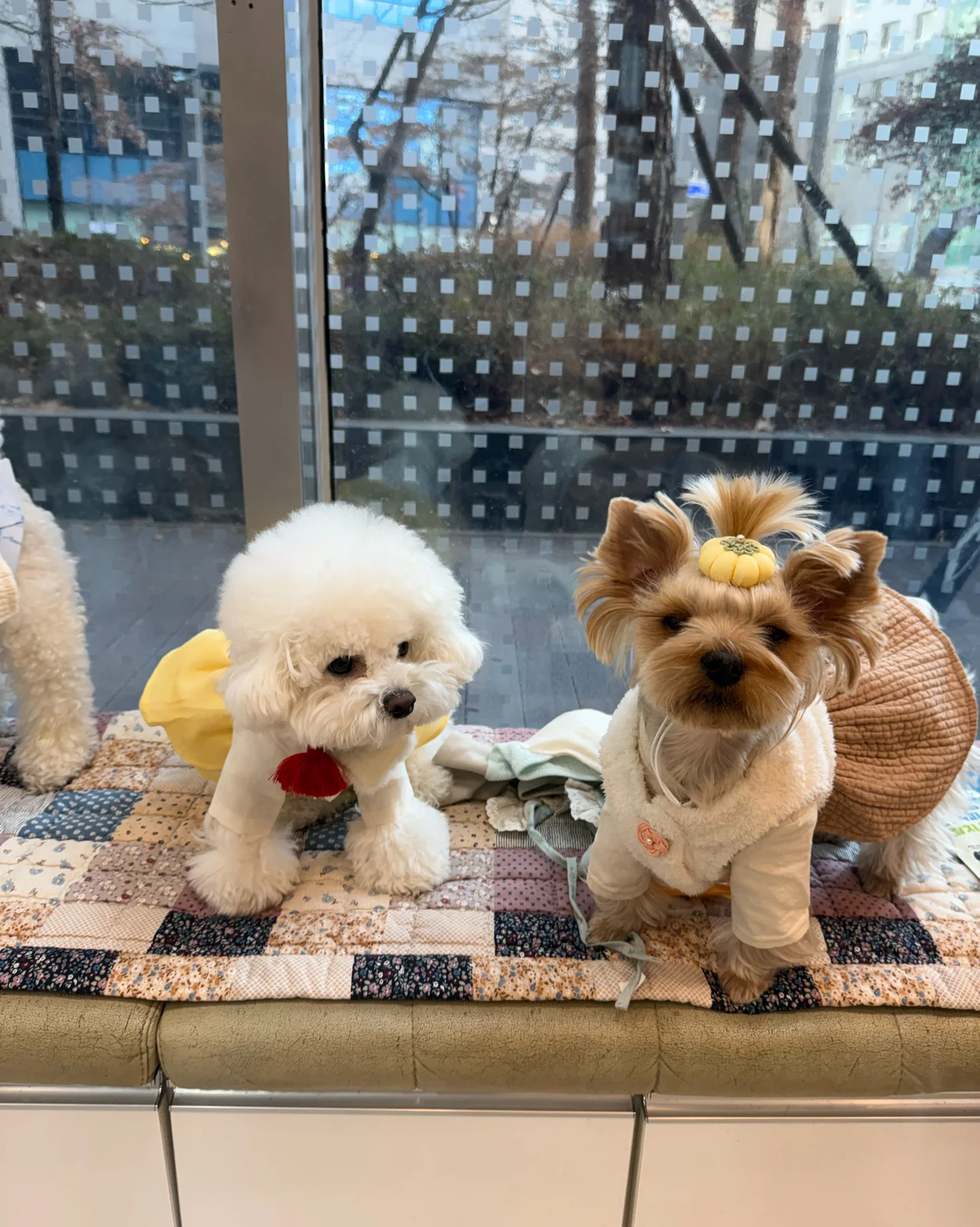 리뷰 사진 1